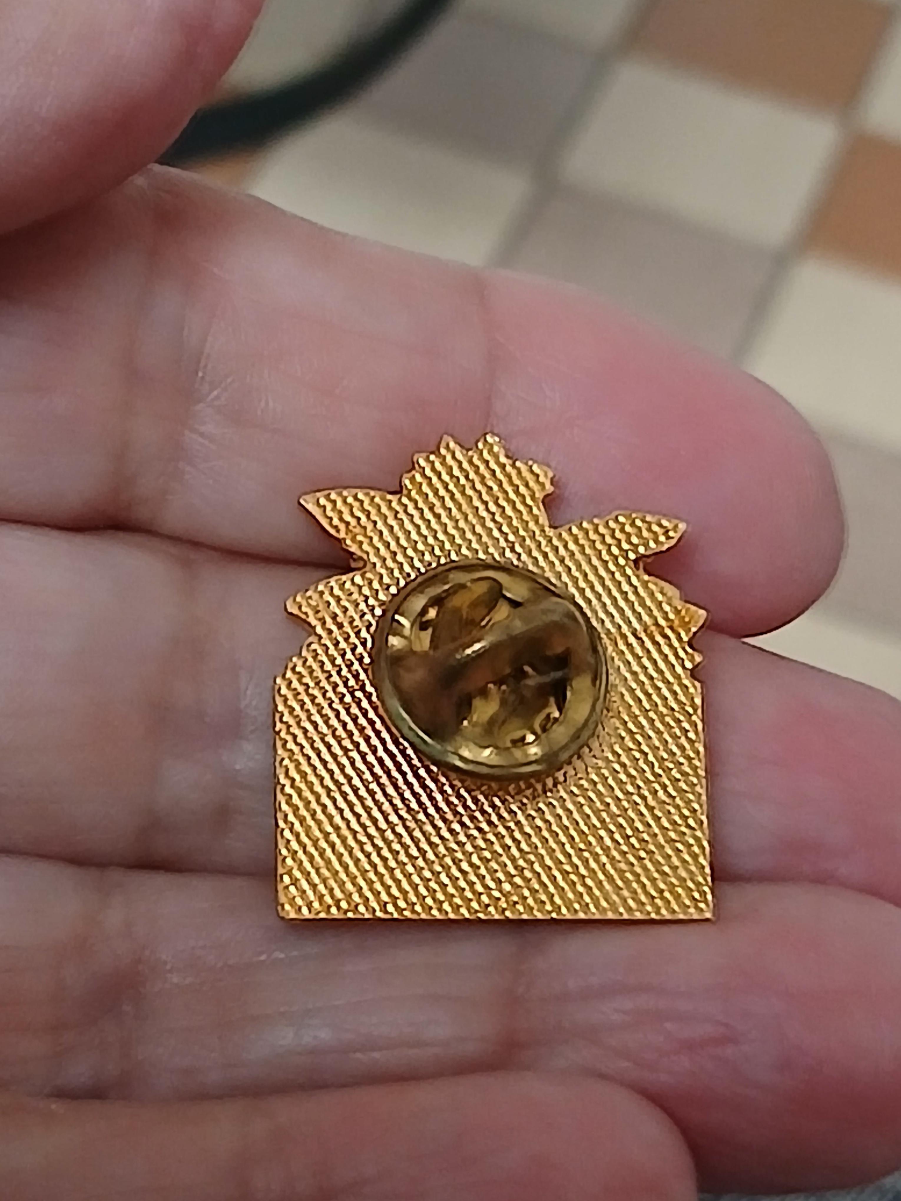 troc de troc un pins image 2