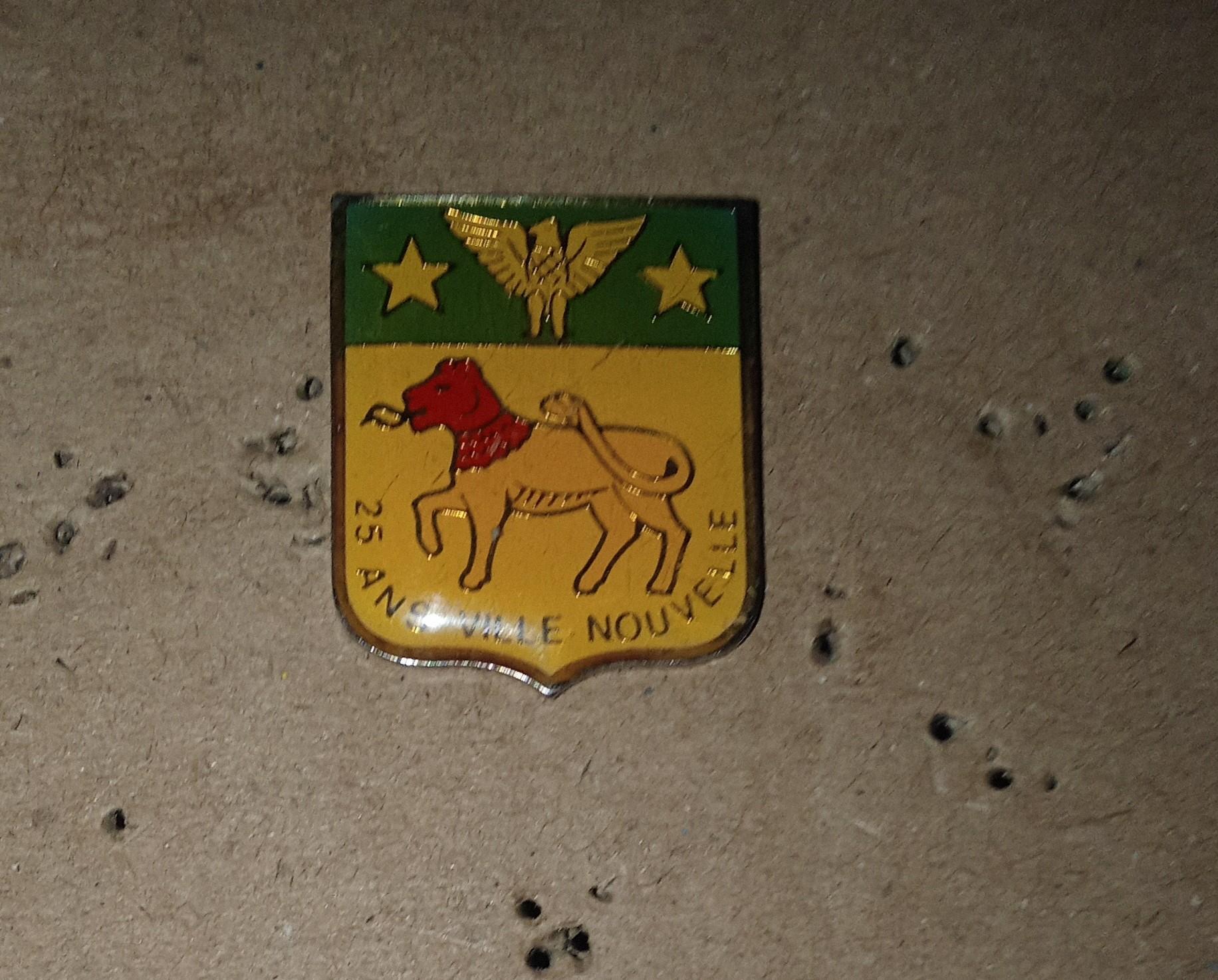 troc de troc pin's sans attache image 0