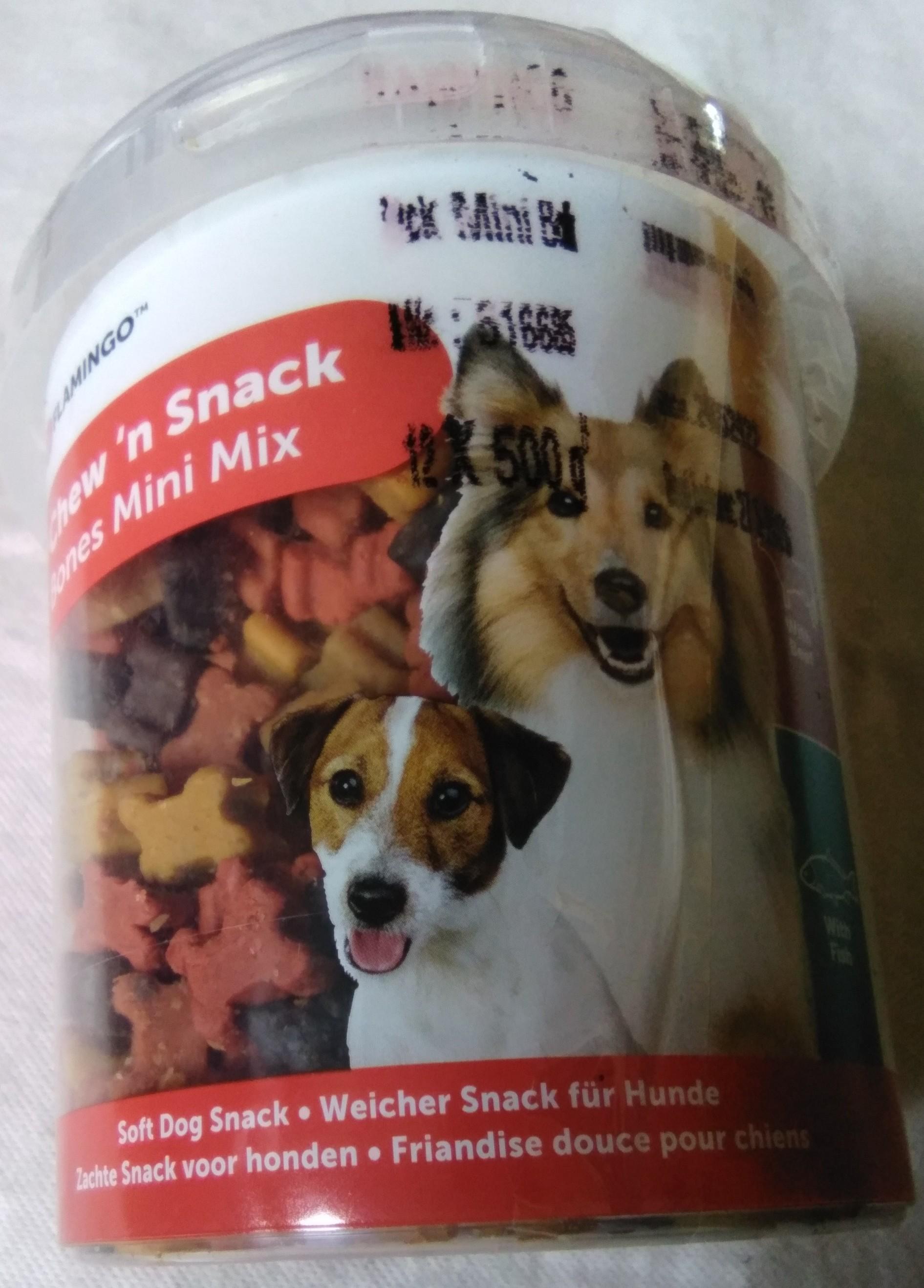 troc de troc lot, accessoires, chien, neuf image 1