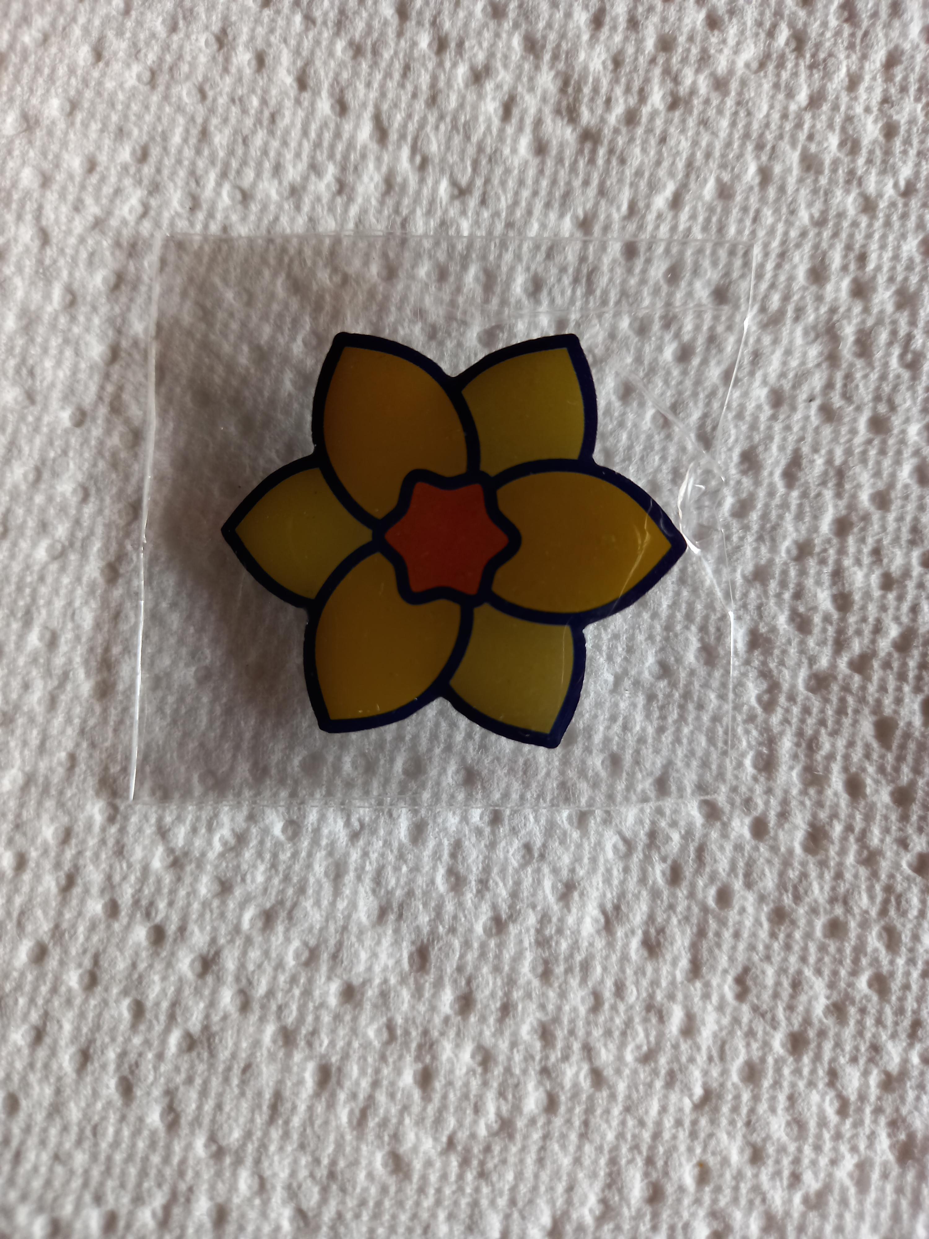 troc de troc pin's image 0