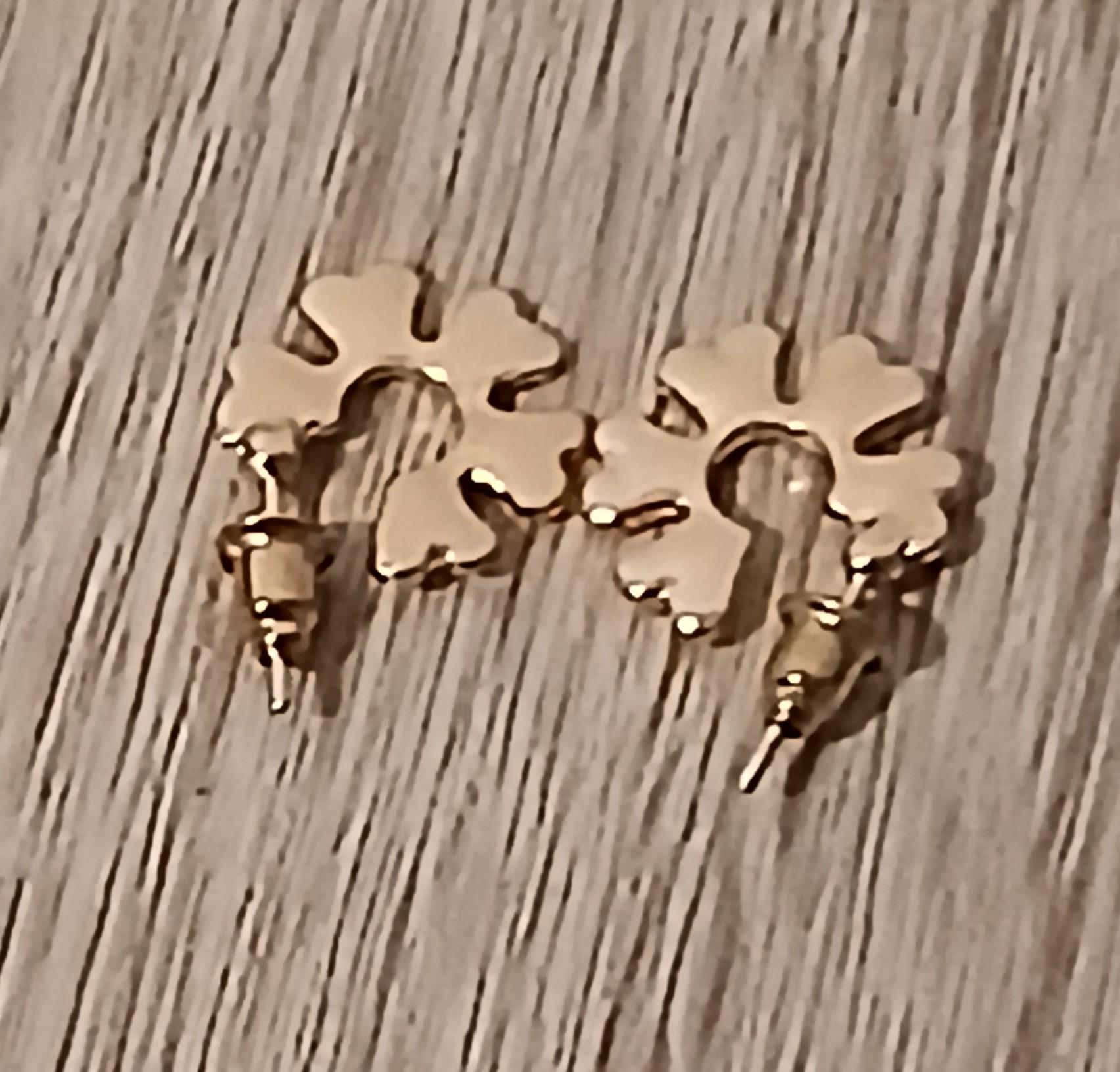 troc de troc reserver troqueuse une paire de boucle d oreille image 0