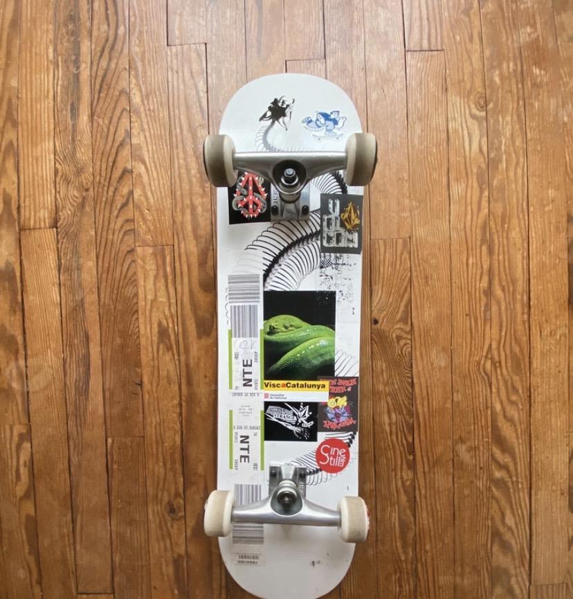 troc de troc échanger une guitare contre un skate element image 0