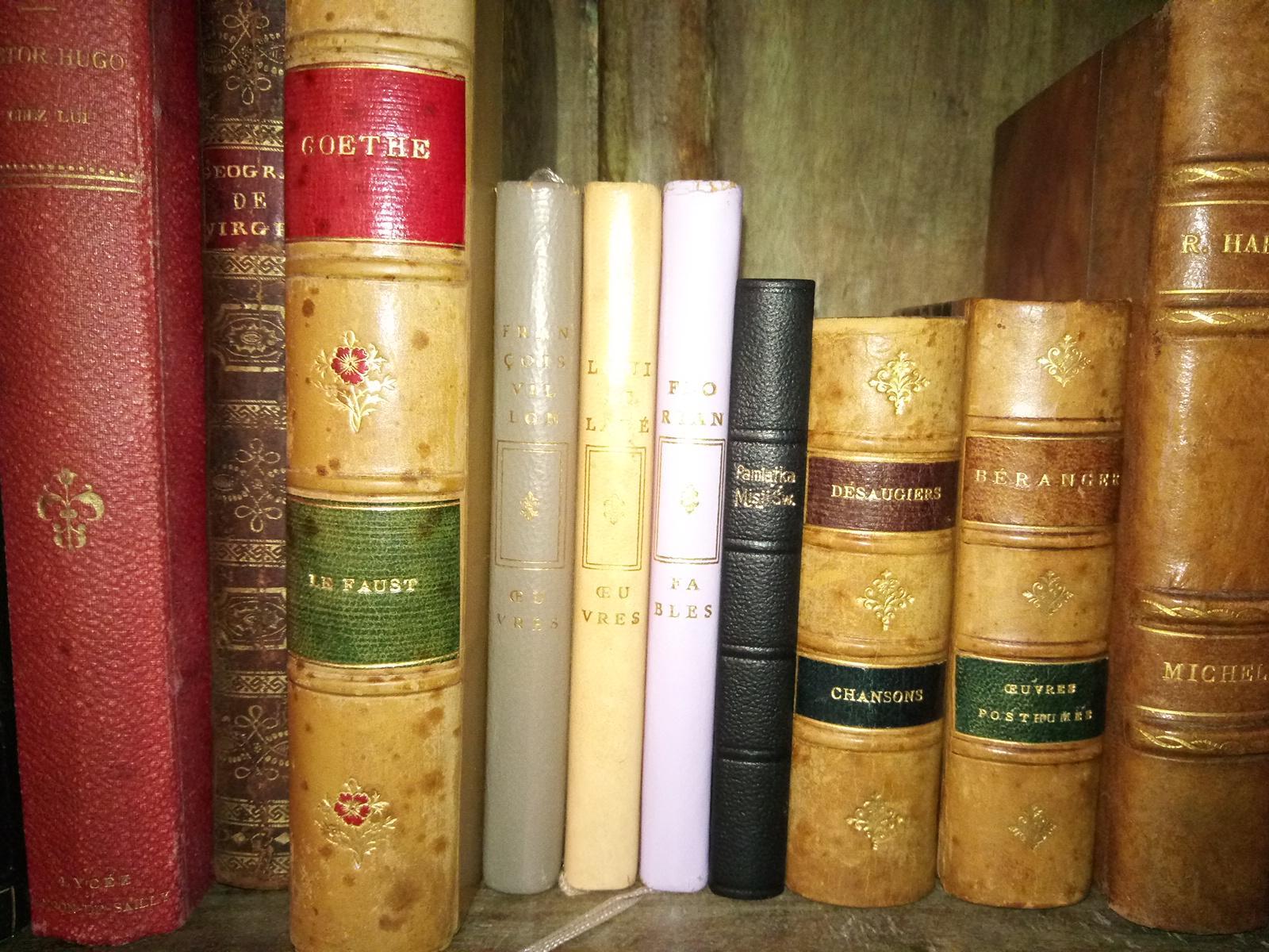 troc de troc livres anciens de collection, belles reliures, livres rares image 2
