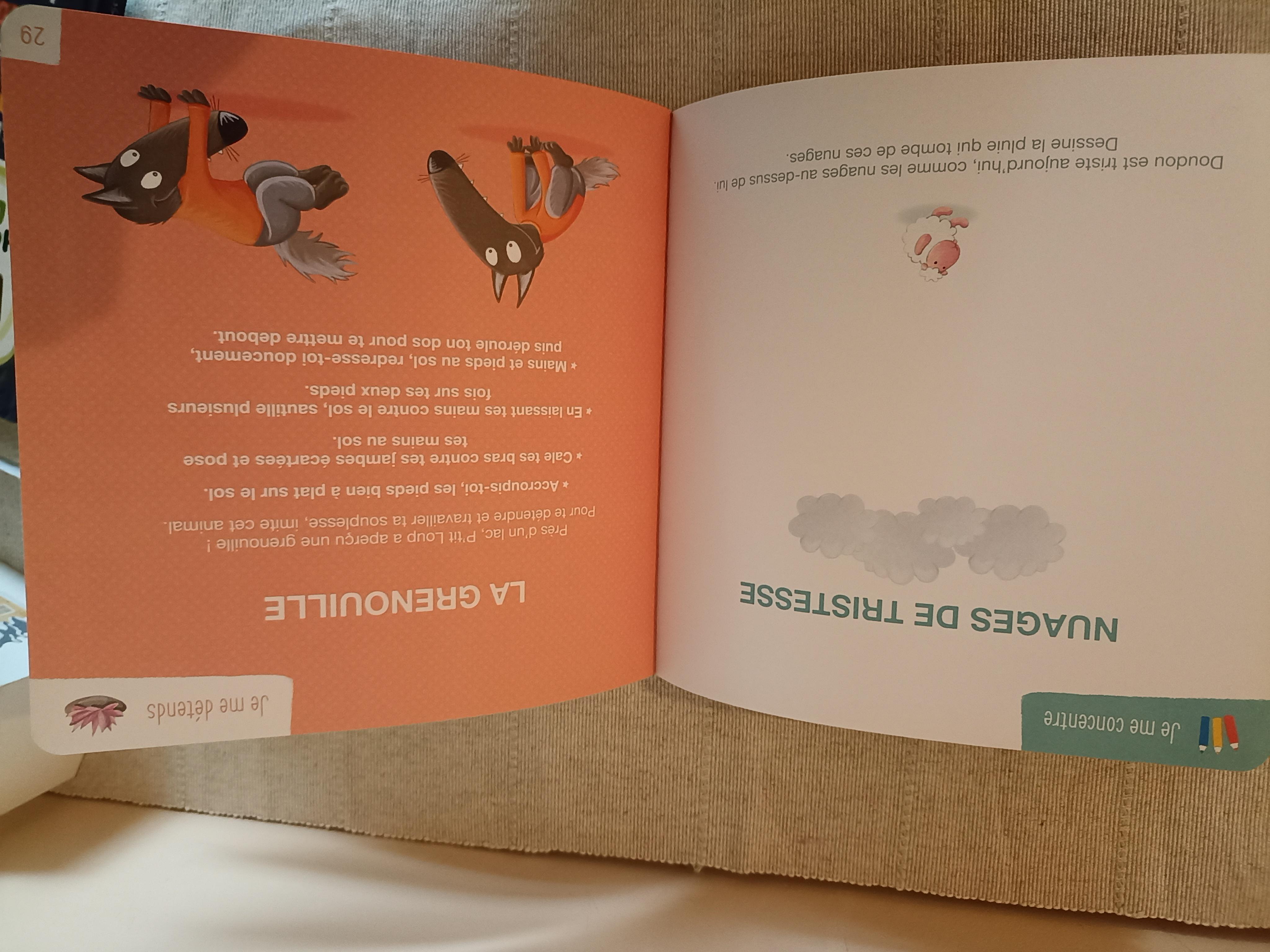 troc de troc livre enfant pour apprendre à gérer ses émotions image 1