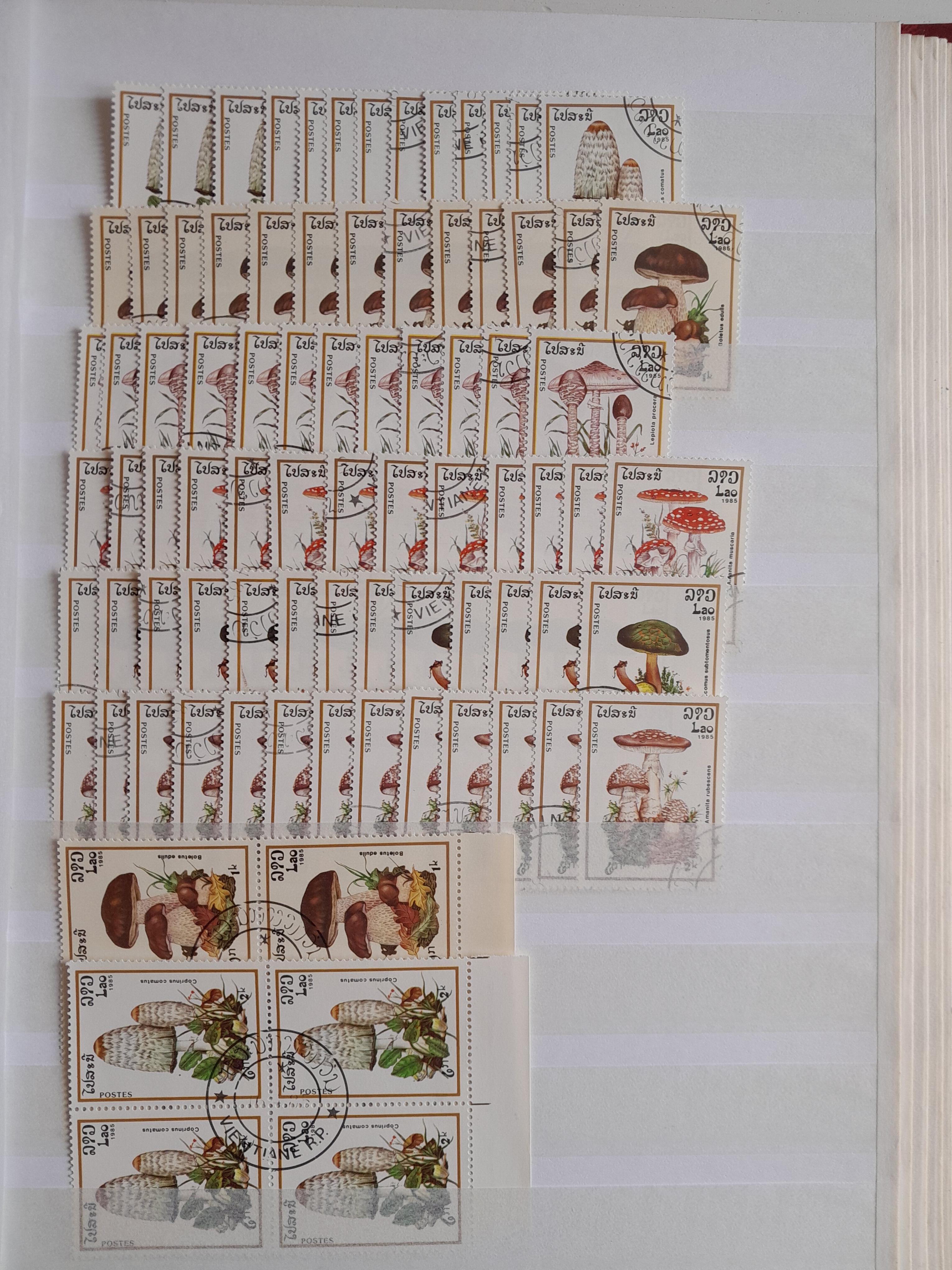 troc de troc echange timbres theme champignons contre flyers image 0