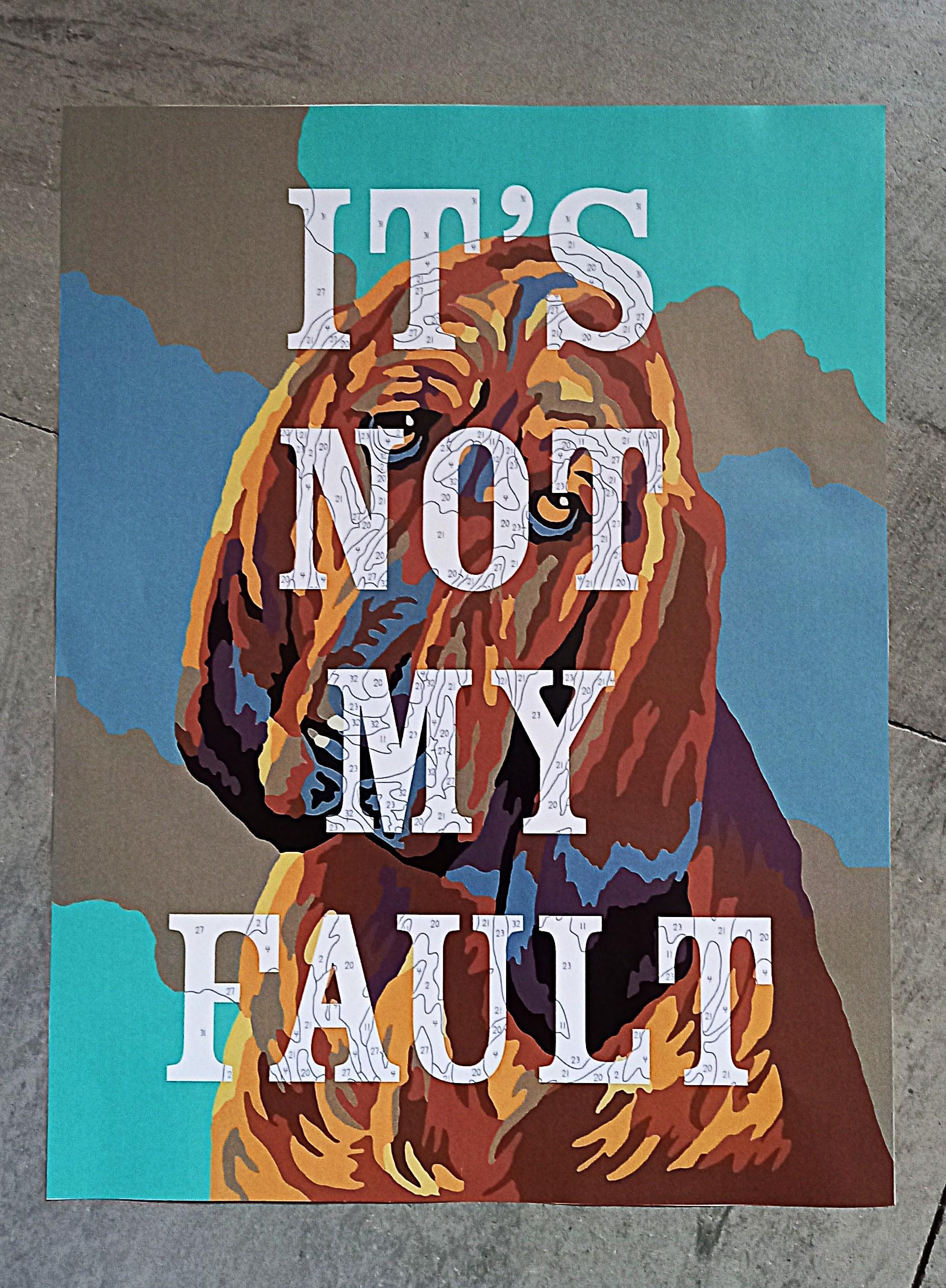 troc de troc affiche "it's not my fault". image 0
