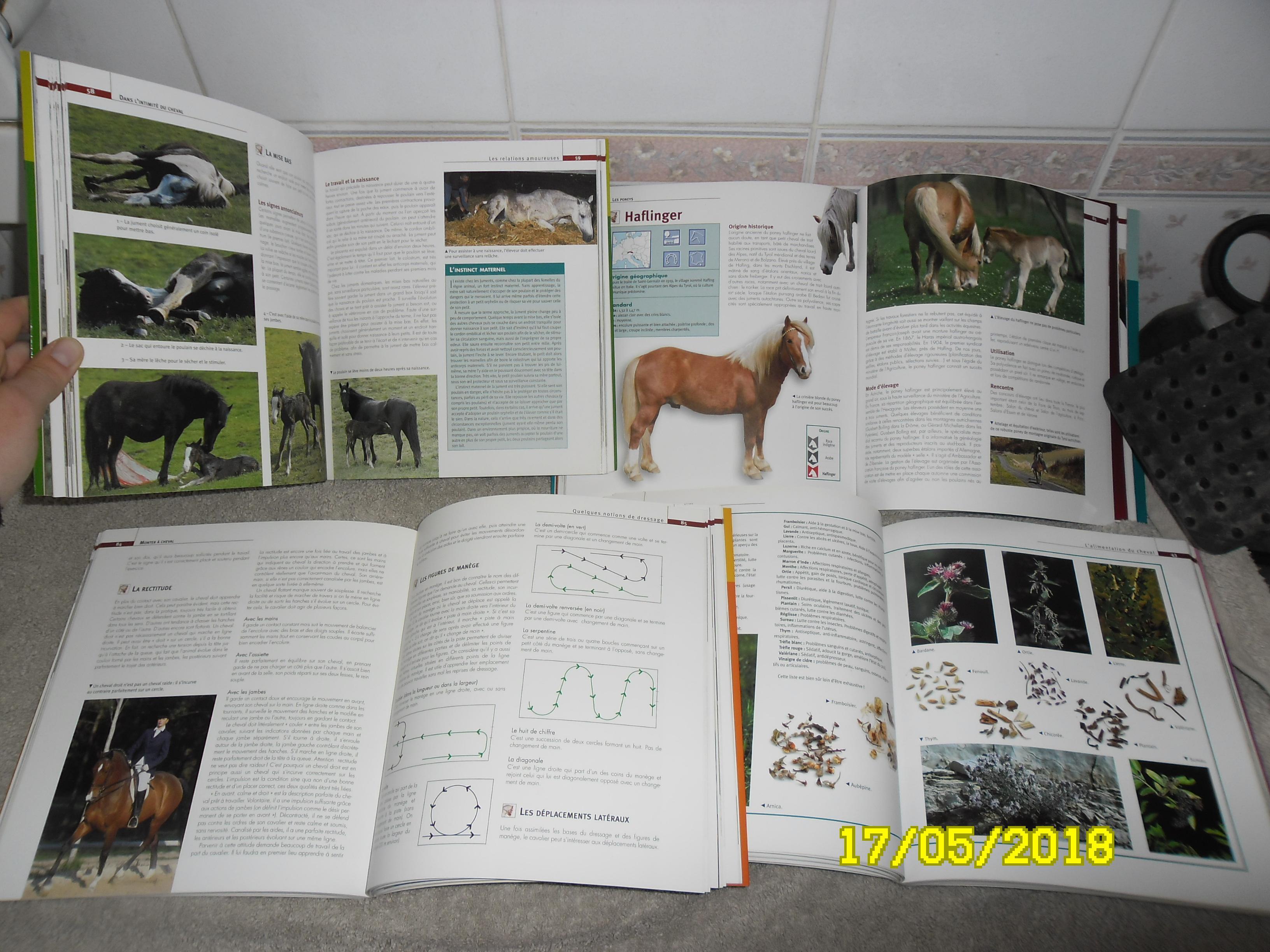 troc de troc urgent - les equiguides - 4 tomes - julie deutsch image 2