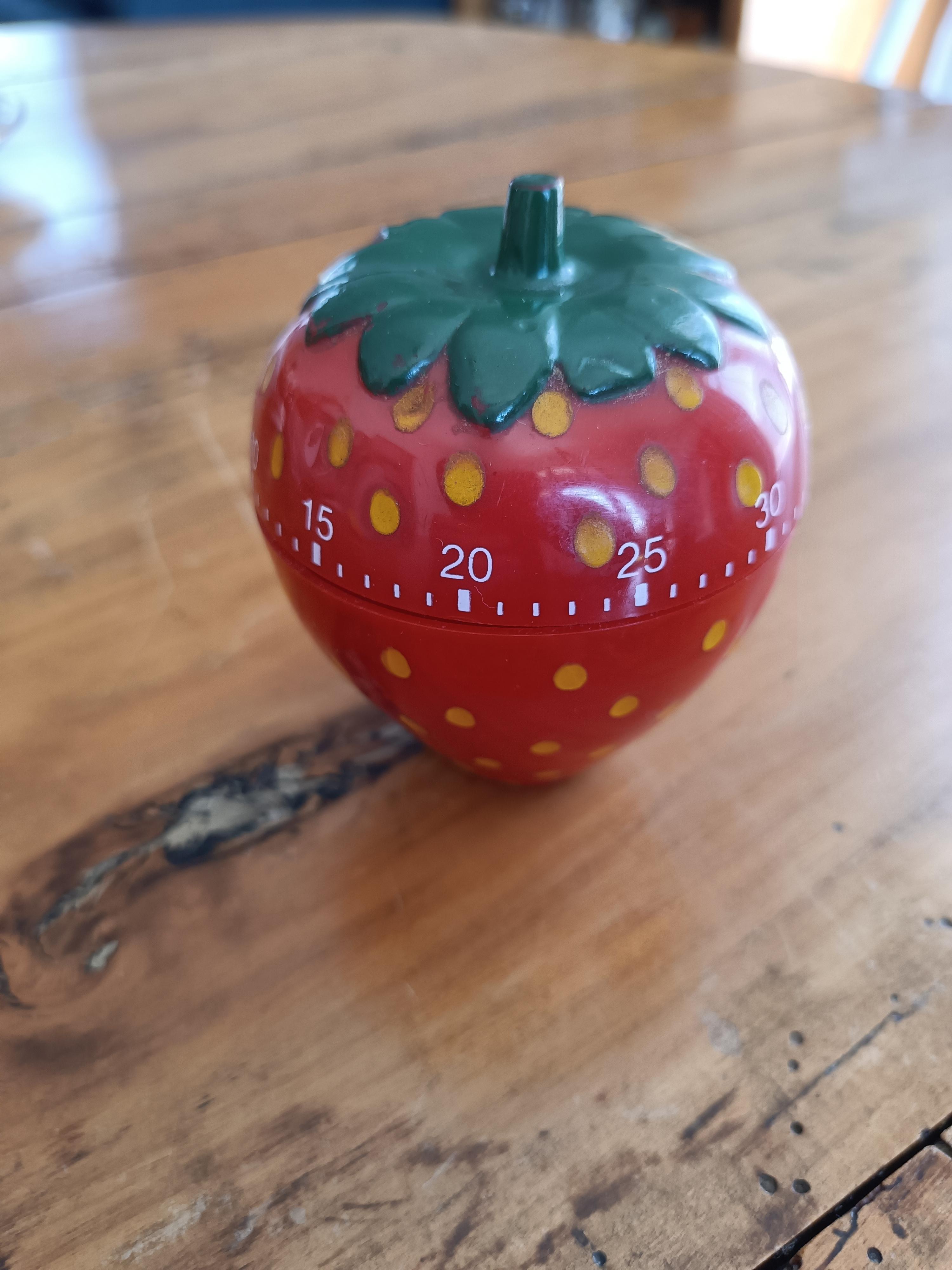 troc de troc minuteur fraise image 0