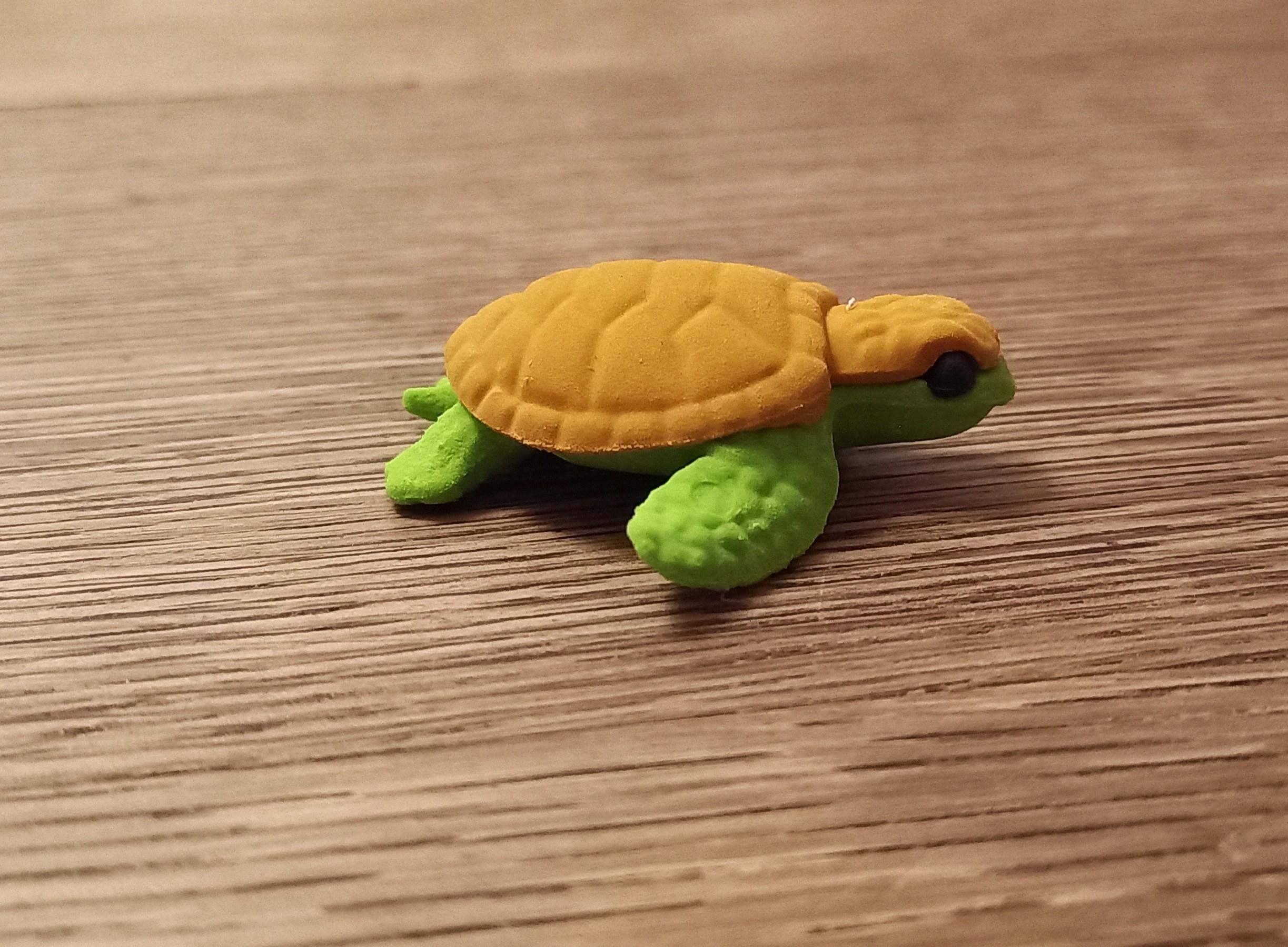 troc de troc gomme "tortue". reservee. image 1