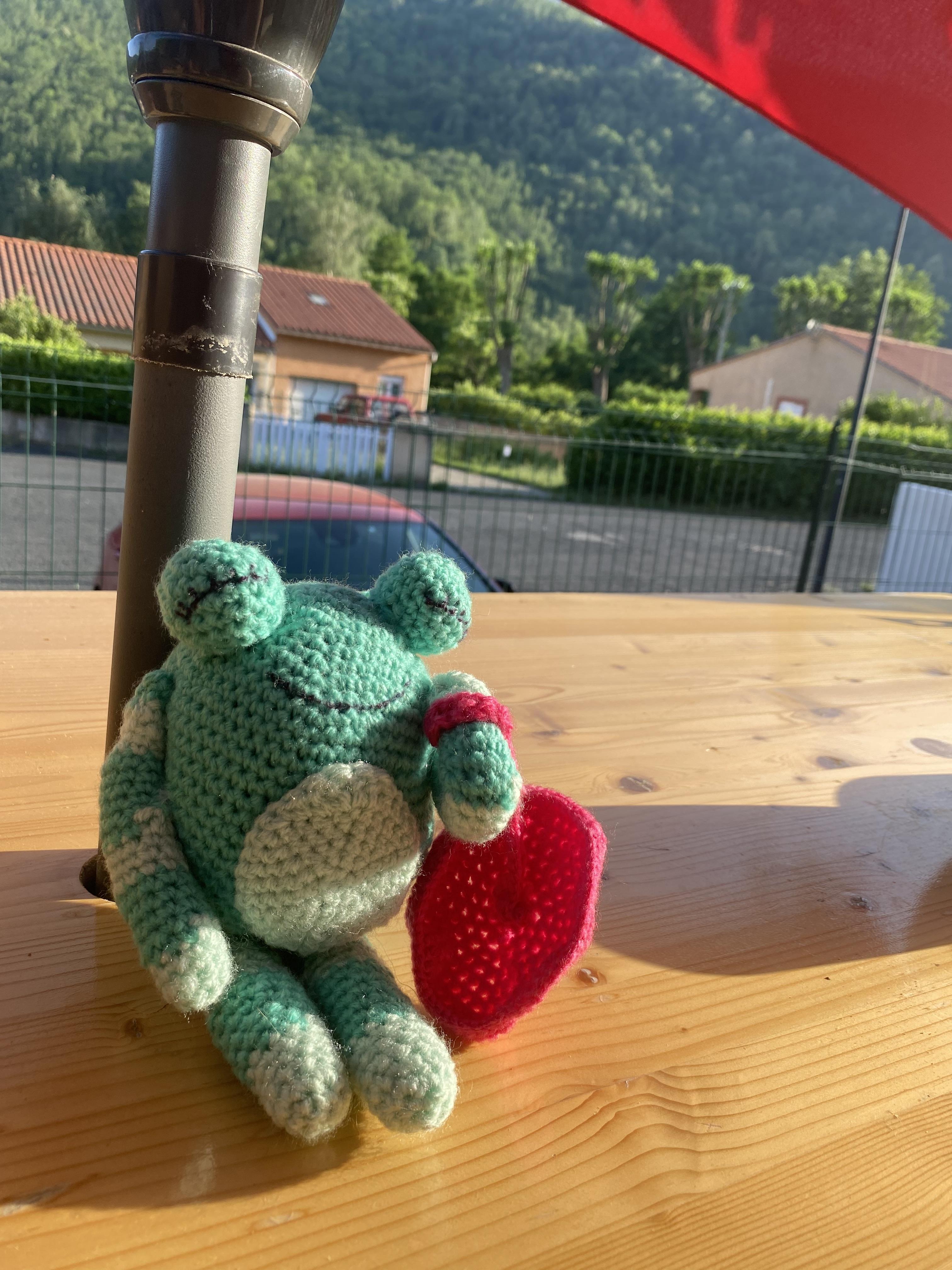 troc de troc grenouille image 0