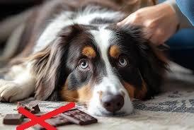 troc de troc l'Énigme de pâques - solution image 0