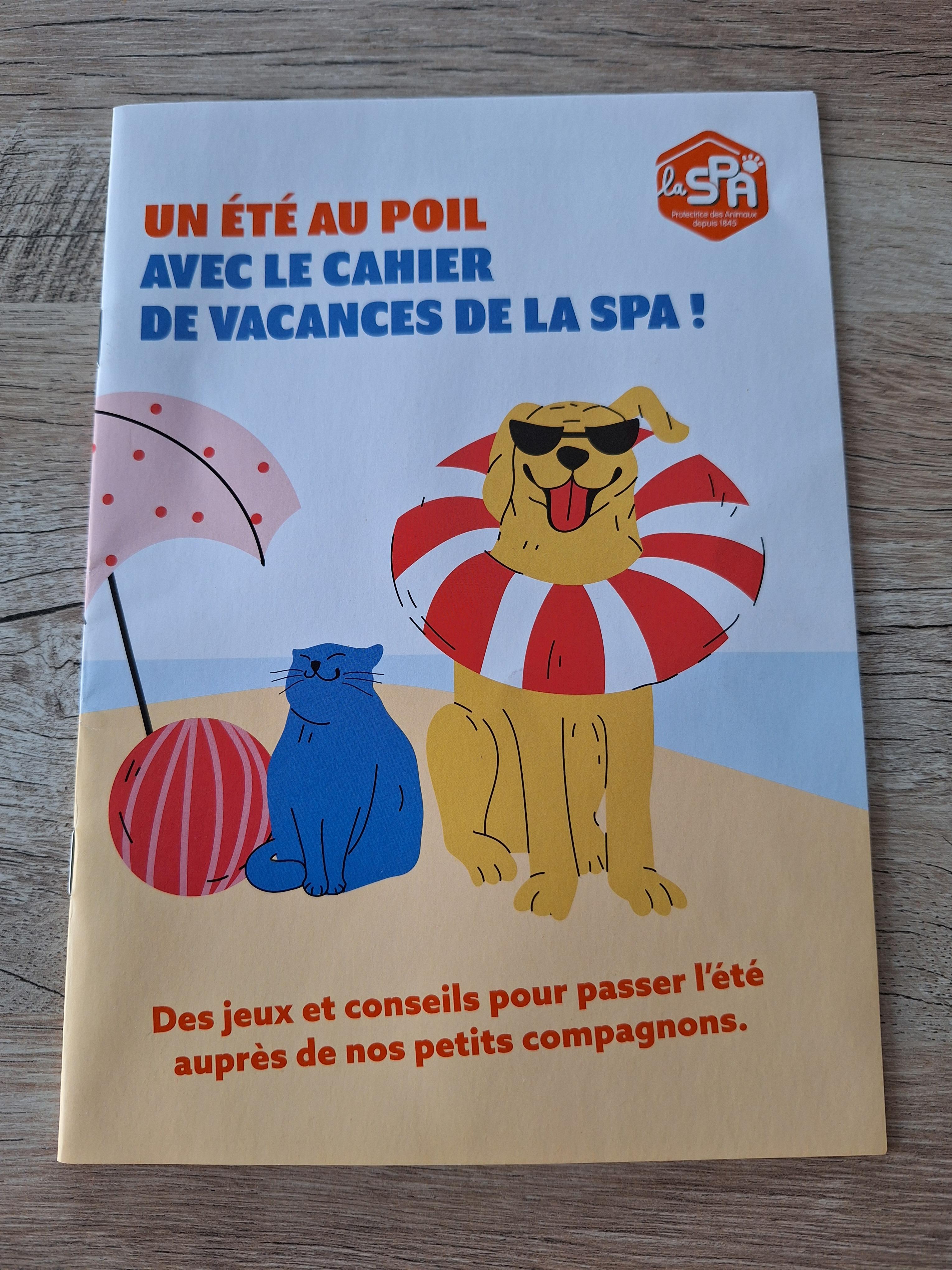 troc de troc petit cahier de vacances spa image 0