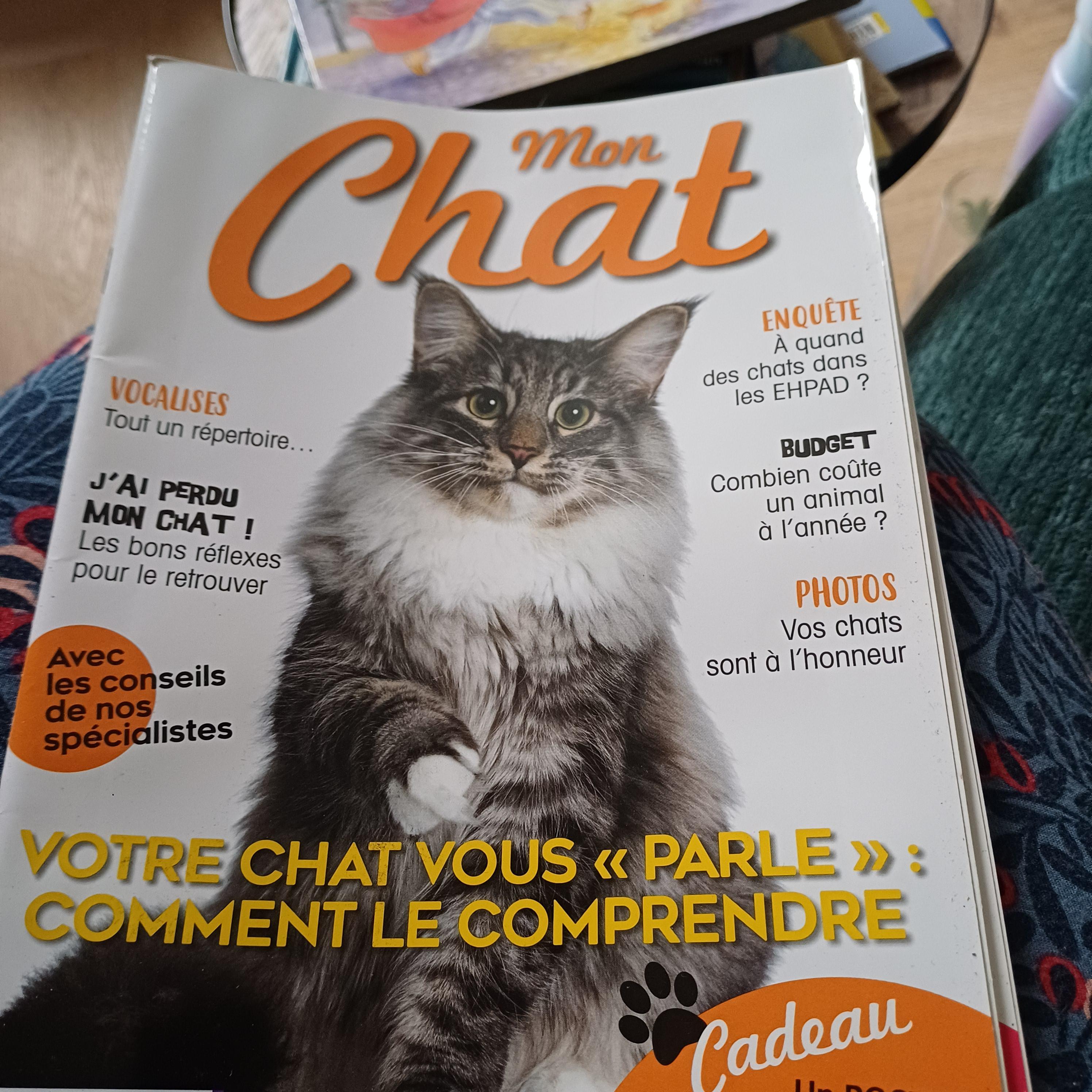 troc de troc le chat image 1