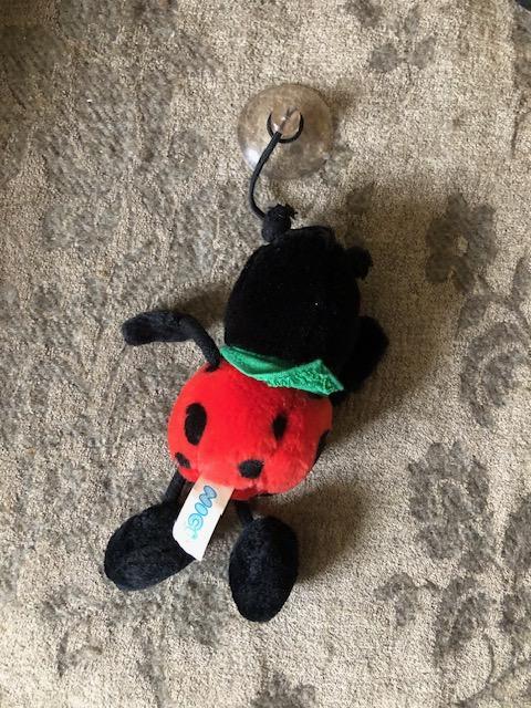 troc de troc coccinelle nici ventouse image 1