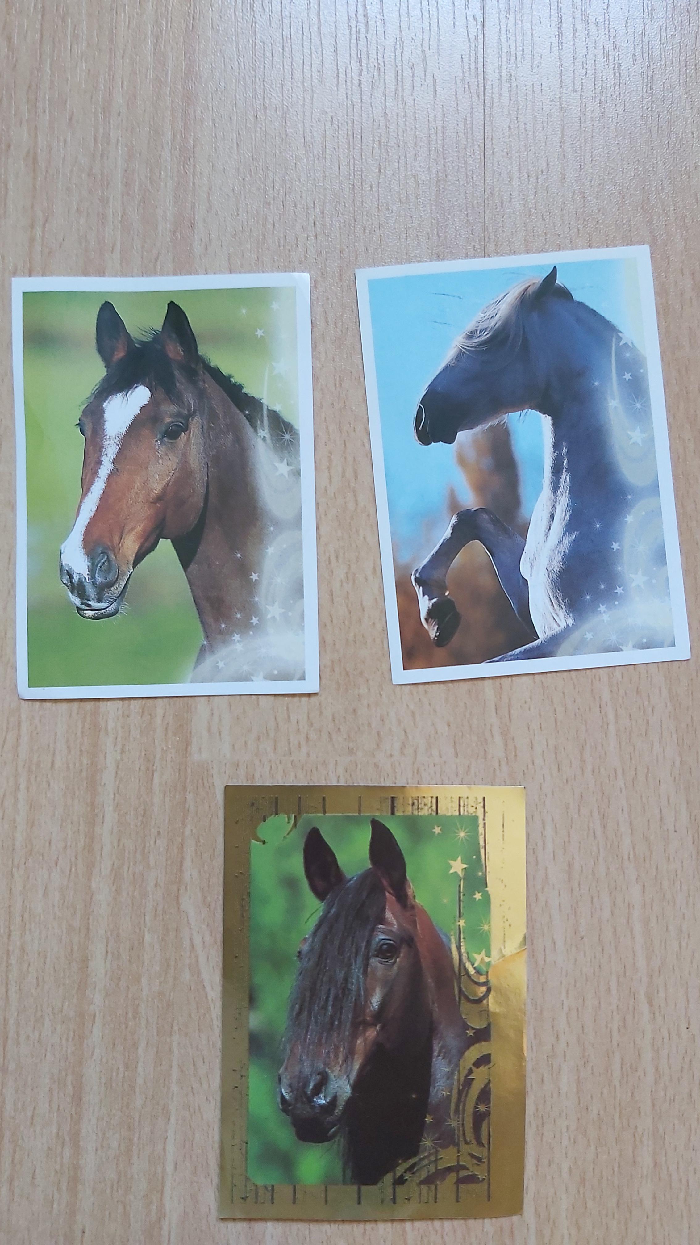 troc de troc stickers thème sur les chevaux image 1