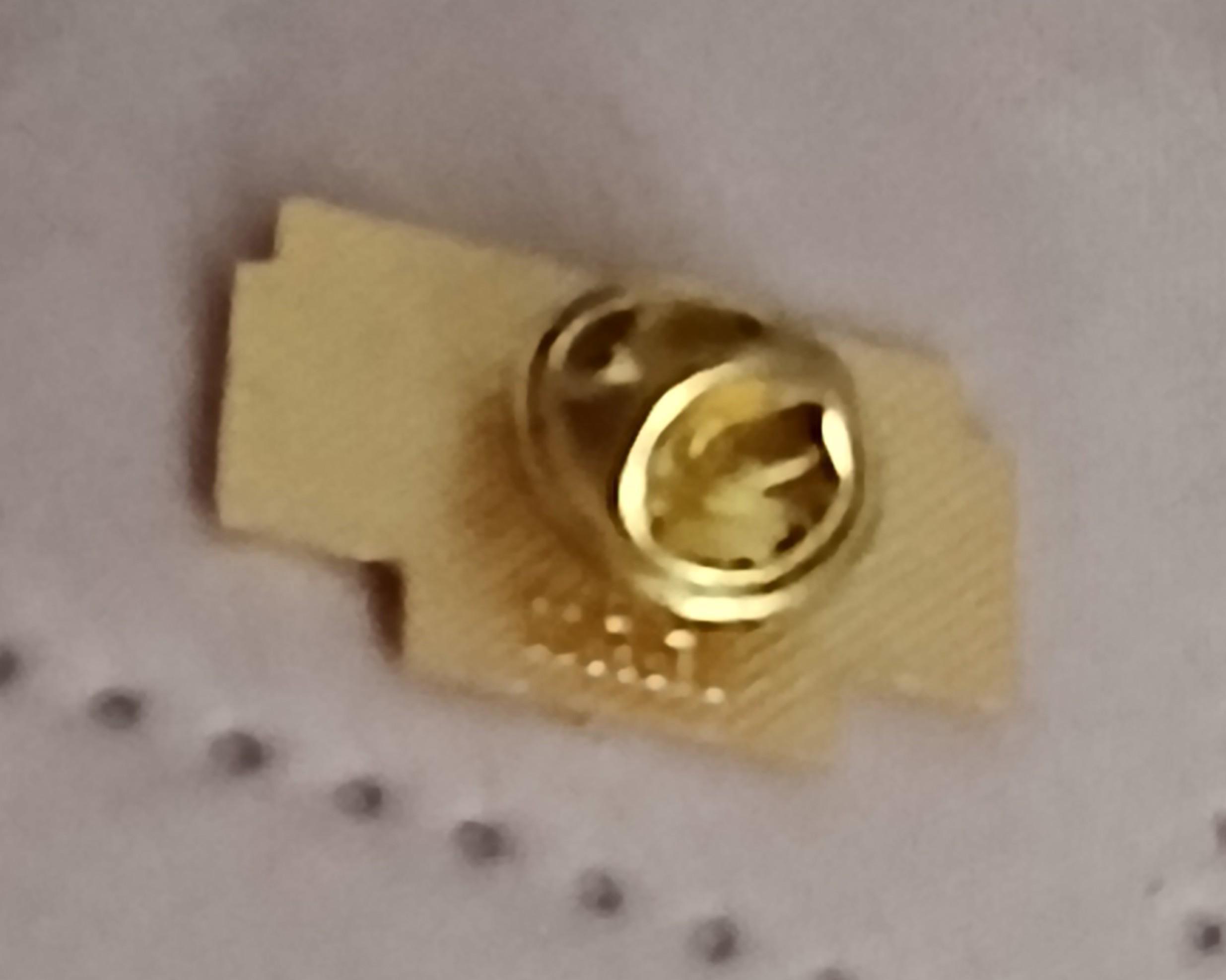 troc de troc un pins image 2