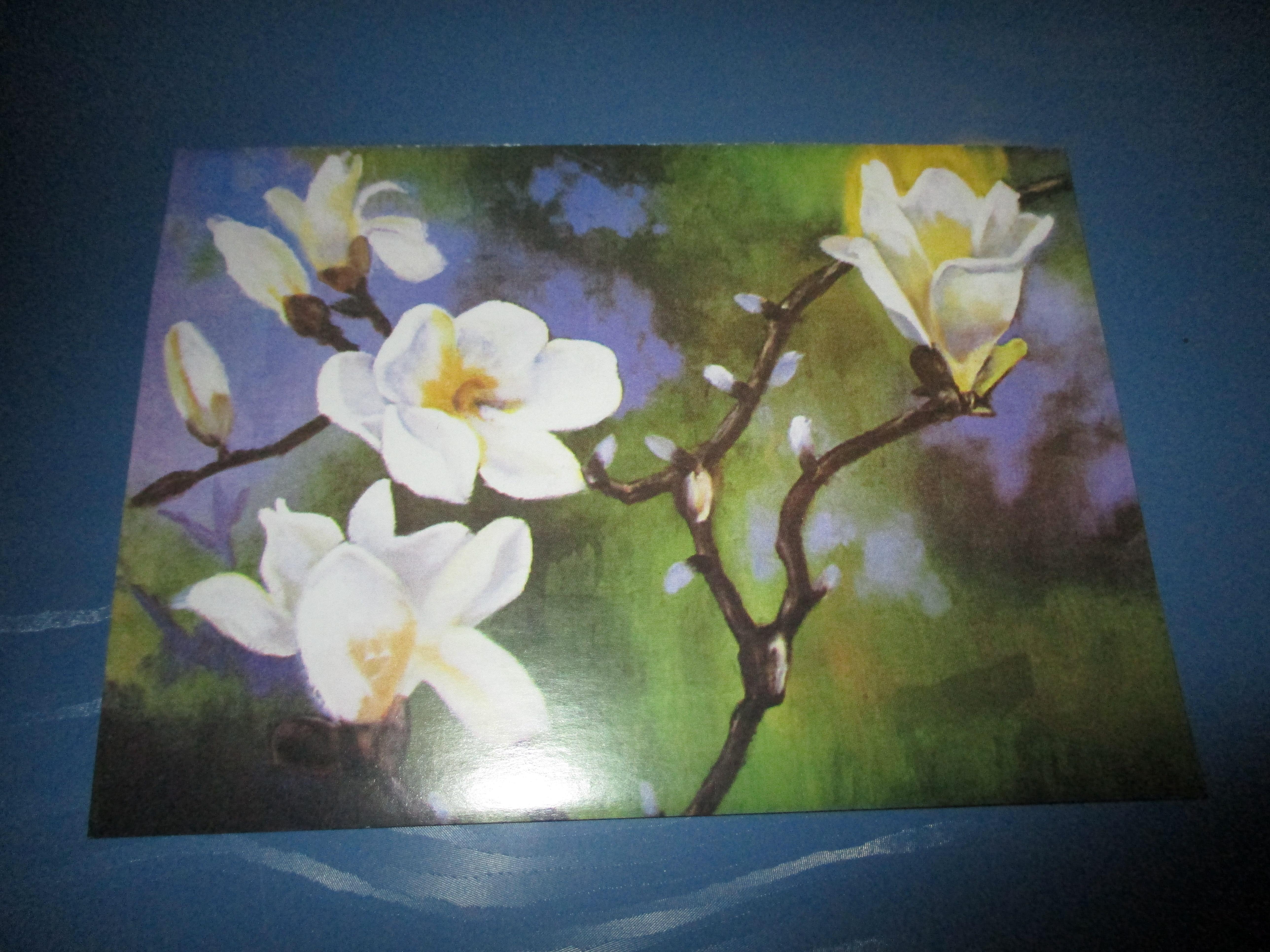 troc de troc carte double magnolia neuve image 0