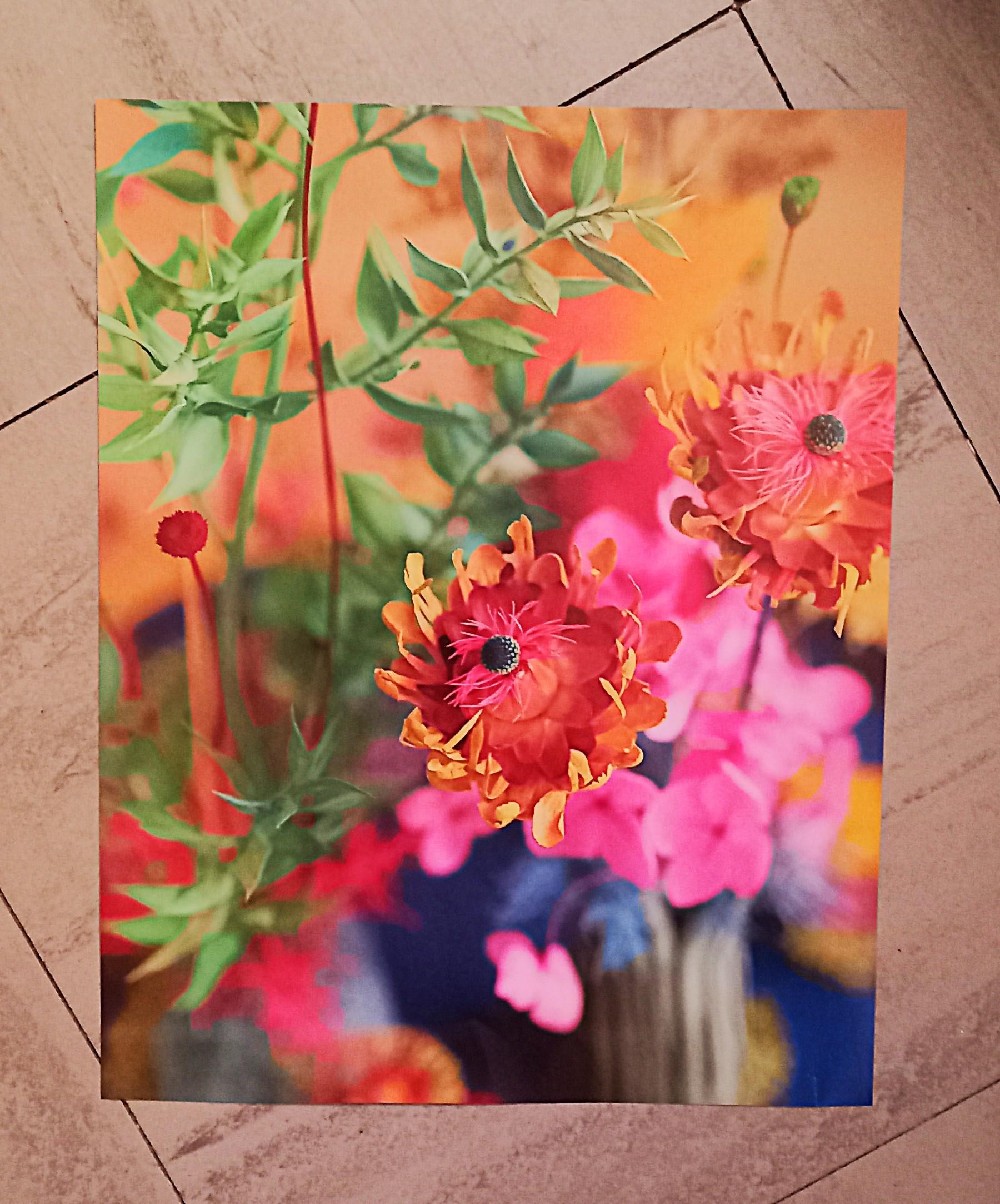 troc de troc affiche "nature". image 0