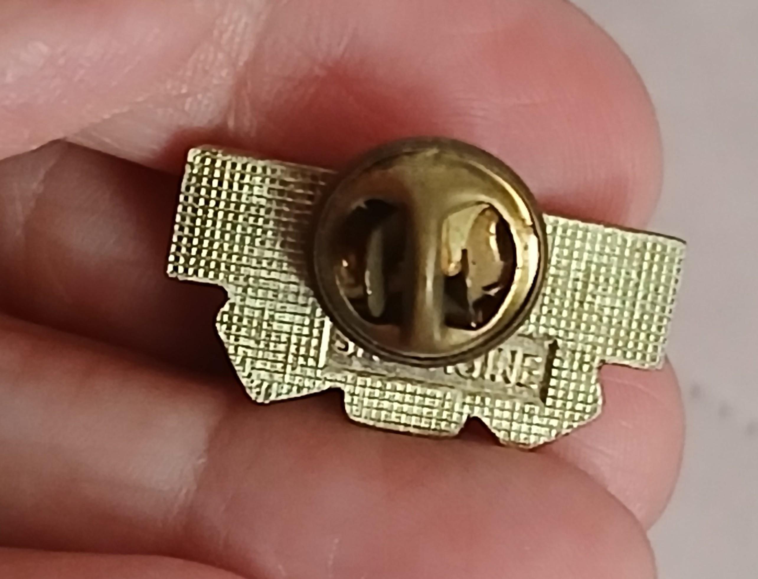 troc de troc un pins image 2