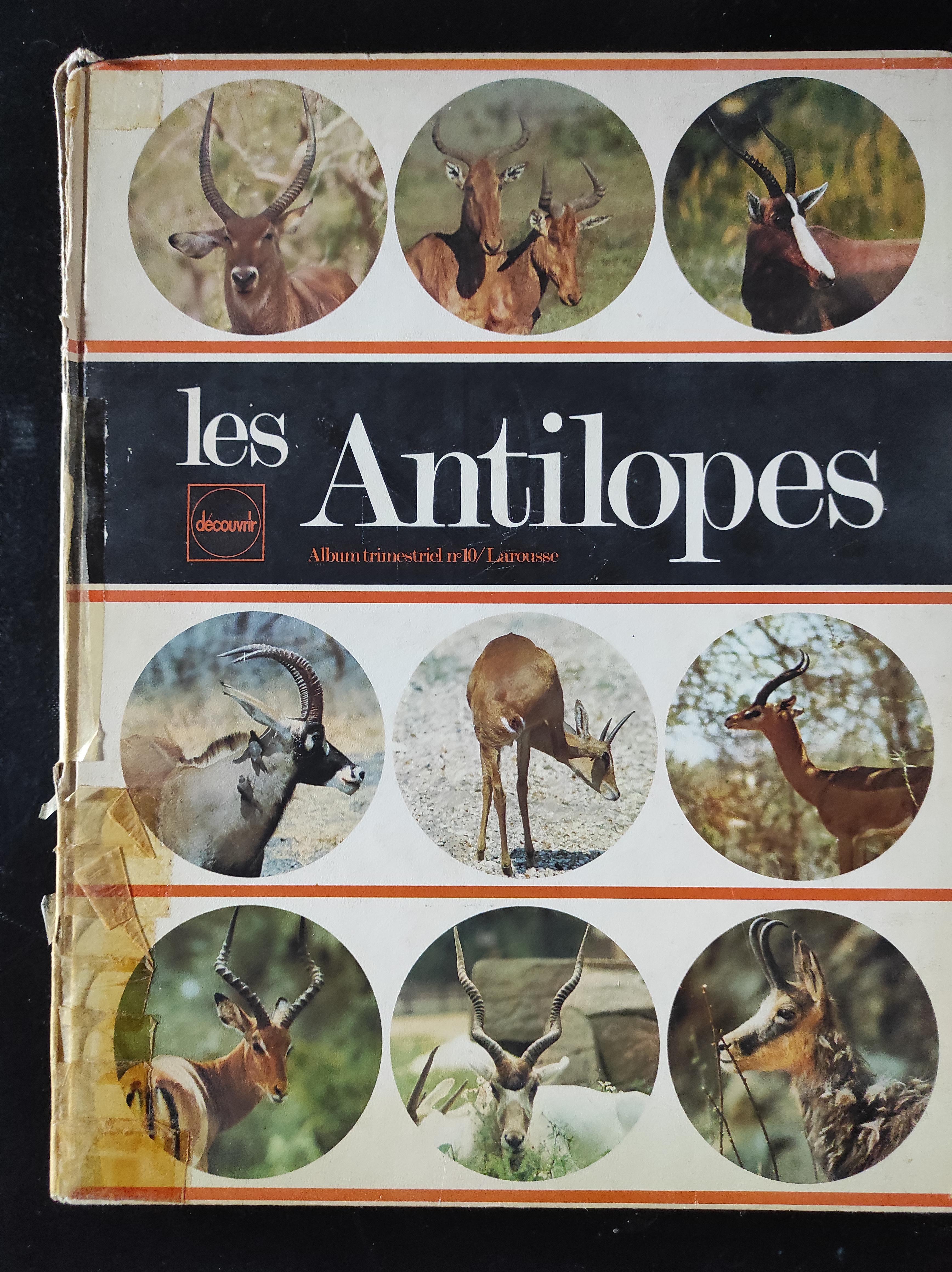 troc de troc les antilopes image 0