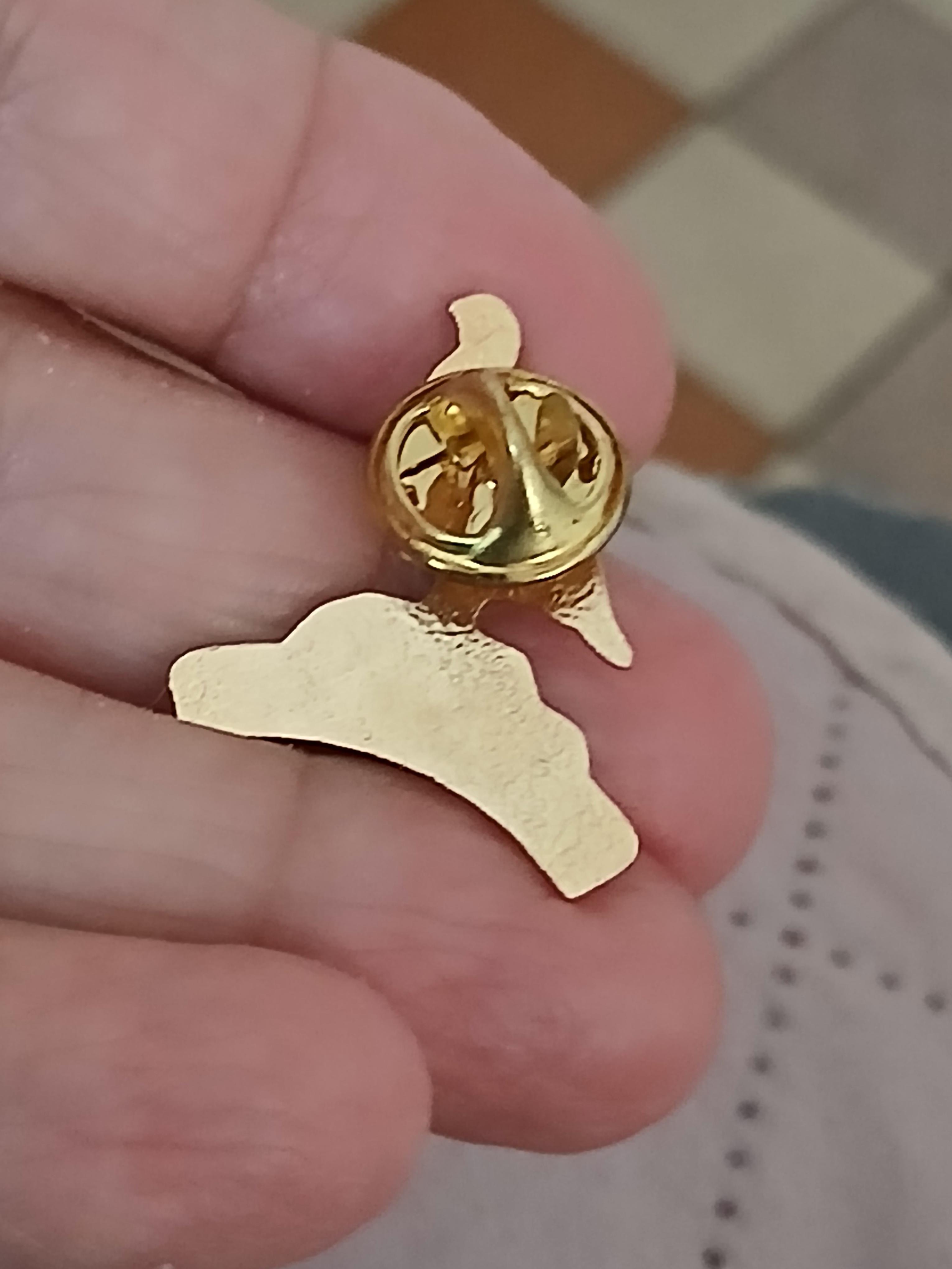 troc de troc reserver sophie un pins image 2