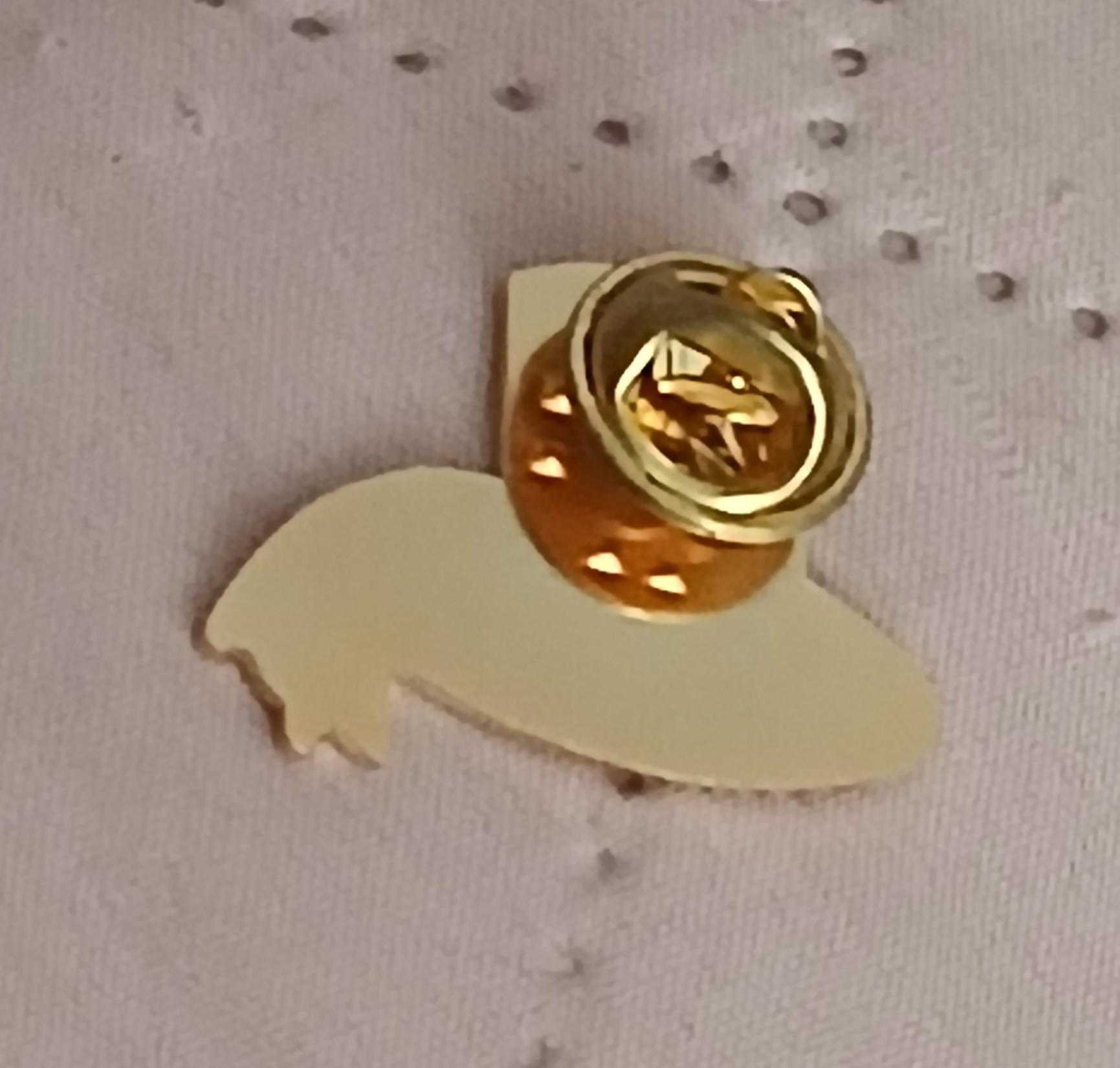 troc de troc un pins image 2