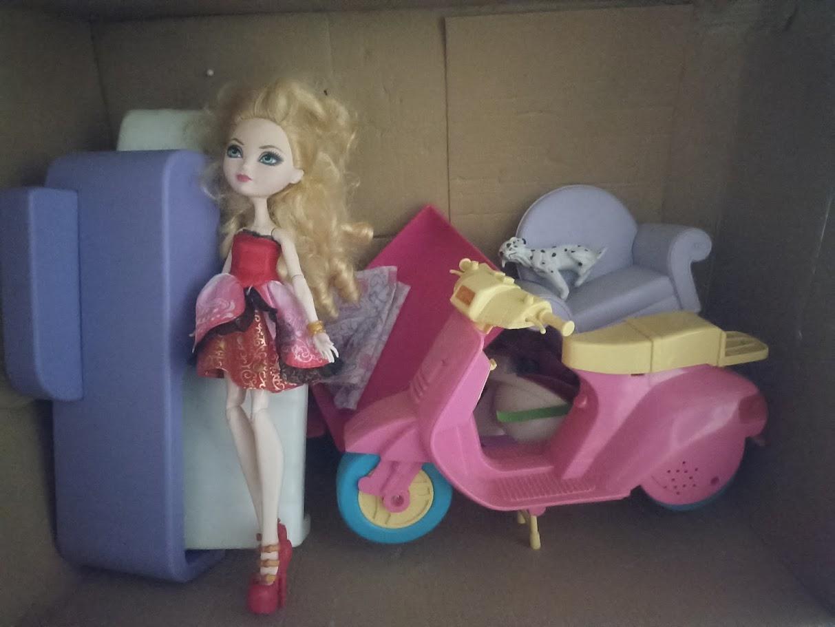 troc de troc accessoires barbie + 1 poupée image 0