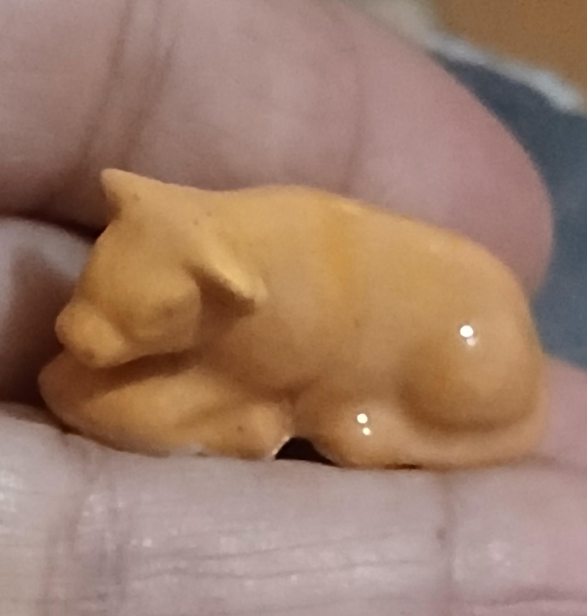 troc de troc une fève image 0