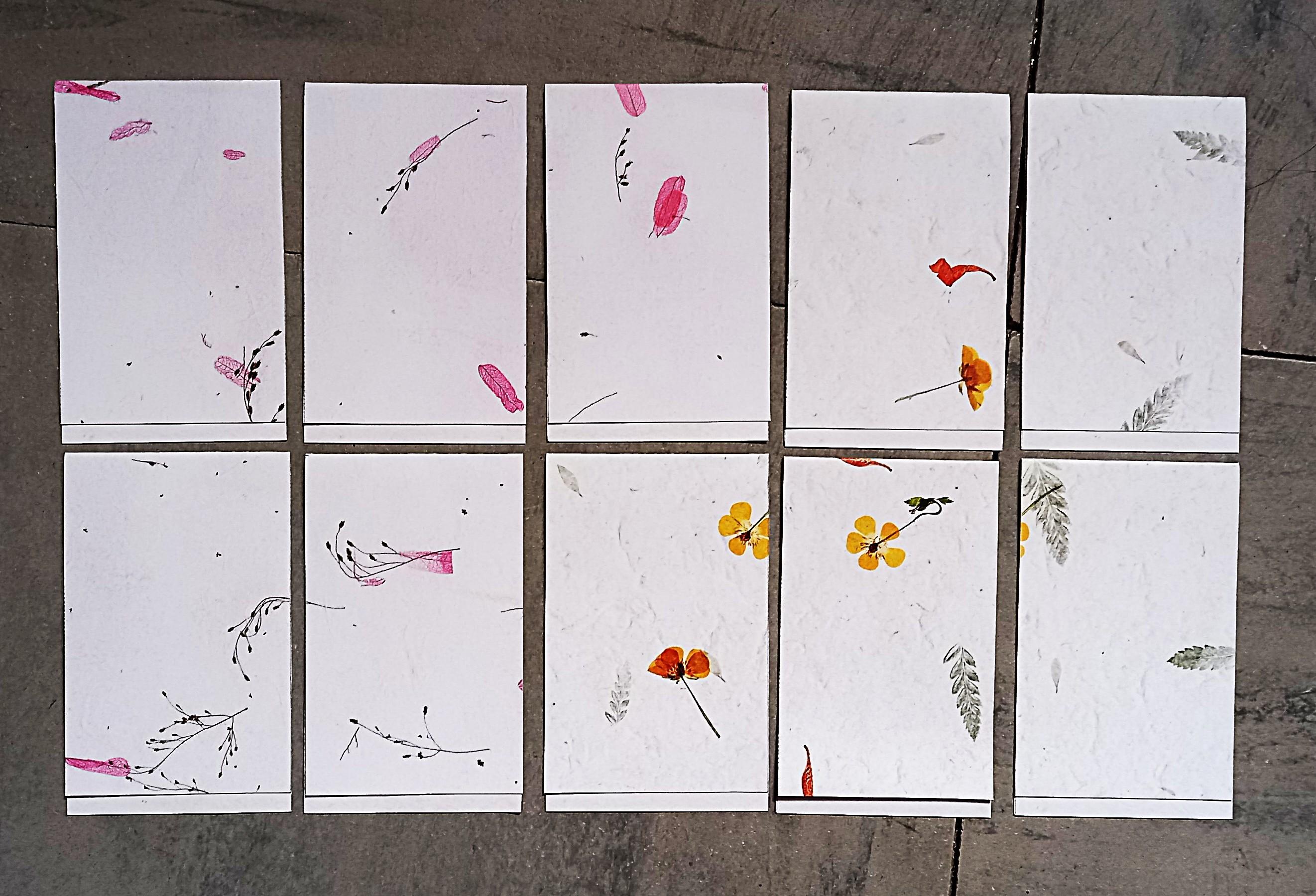 troc de troc cartes à messages oiseaux. image 1