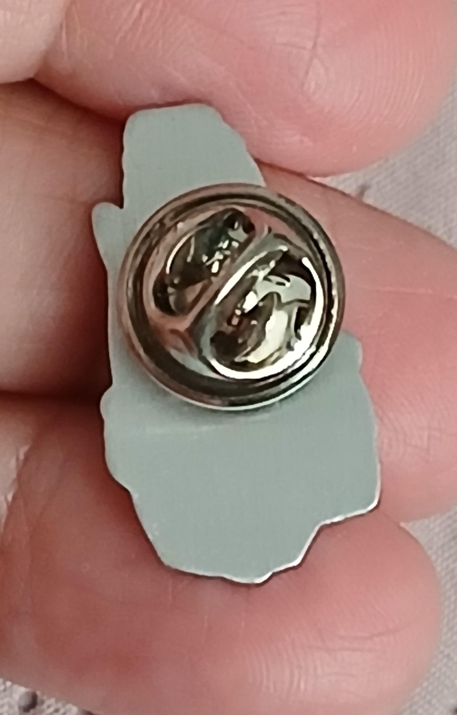 troc de troc un pins image 2
