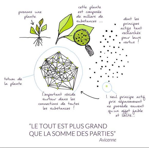 troc de troc conseil personnalisé herboristerie image 1
