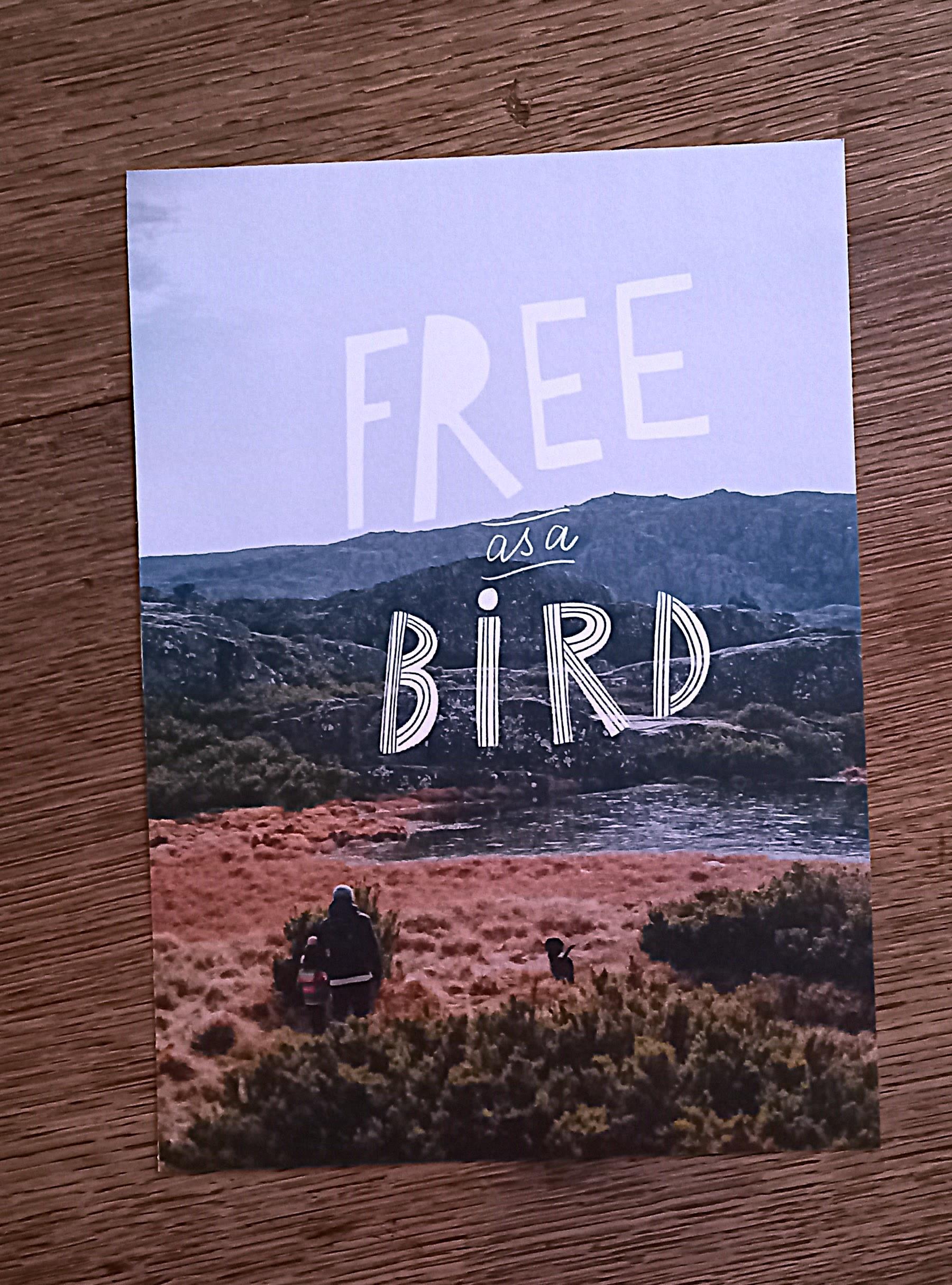 troc de troc affiche "free as a bird". image 0