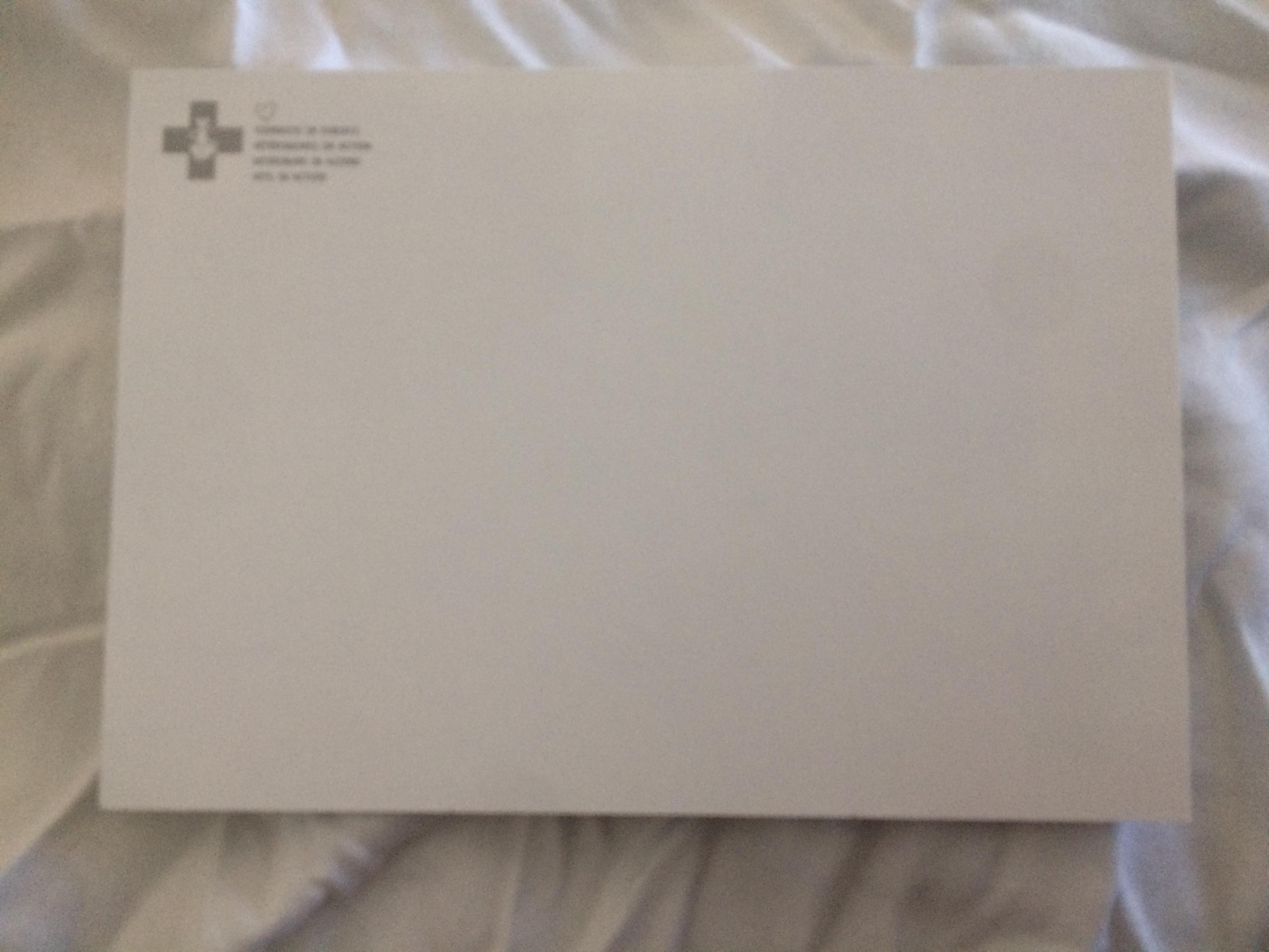 troc de troc carte postale chat européen allongé papier glacé brillant image 1