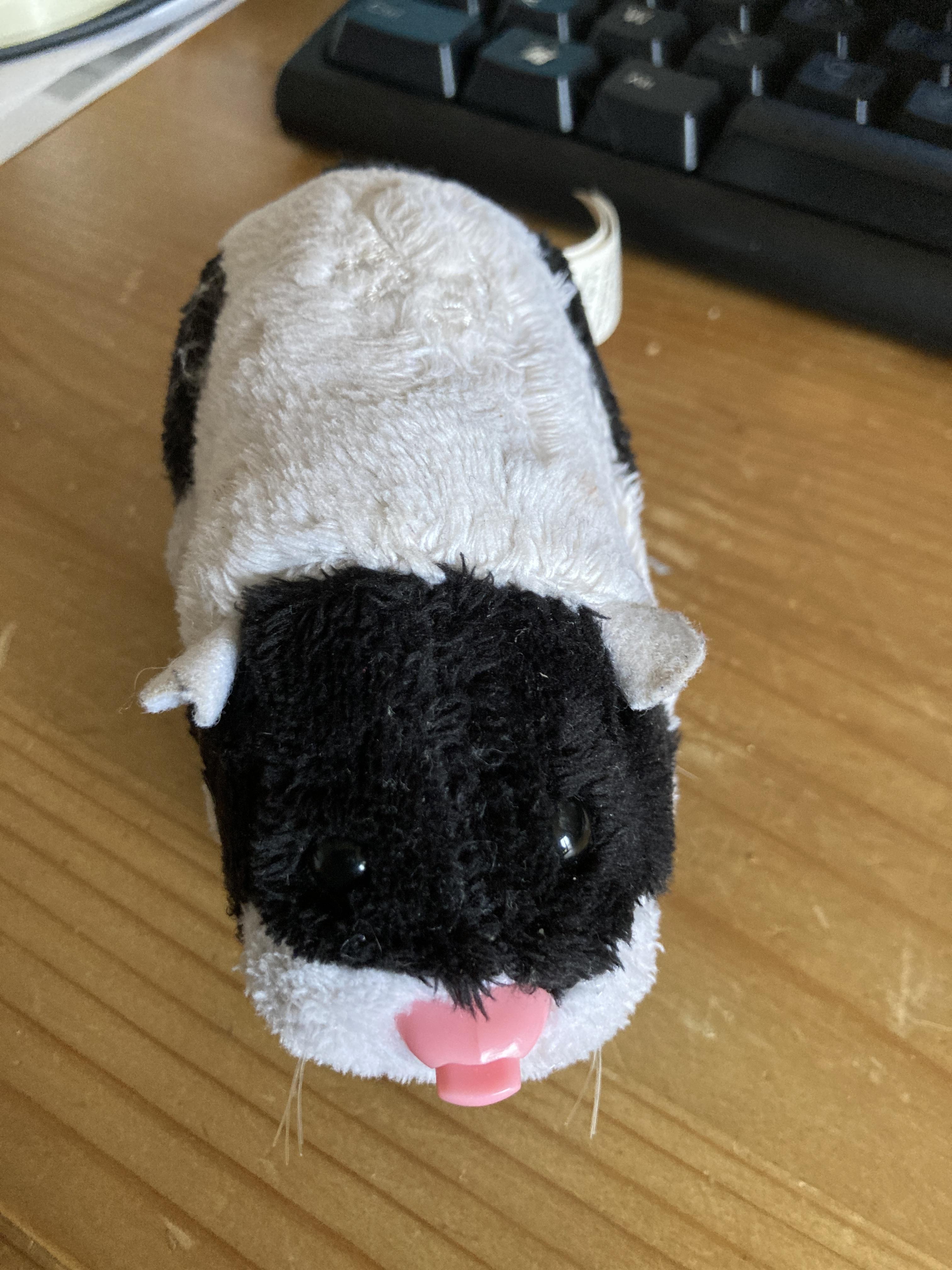troc de troc zhu zhu pet image 0