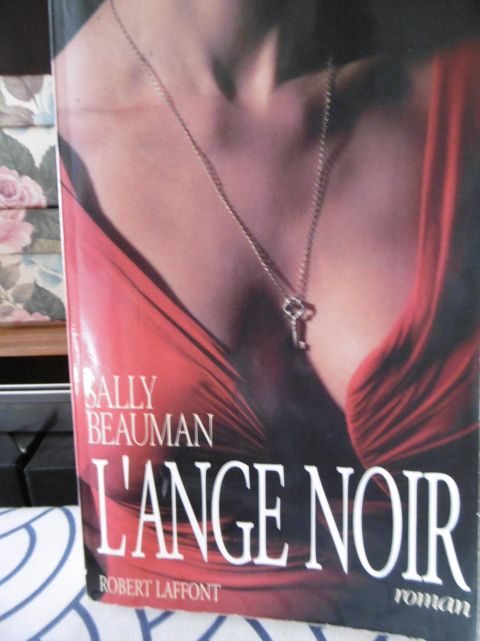 troc de troc l ange noir sally beauman image 0