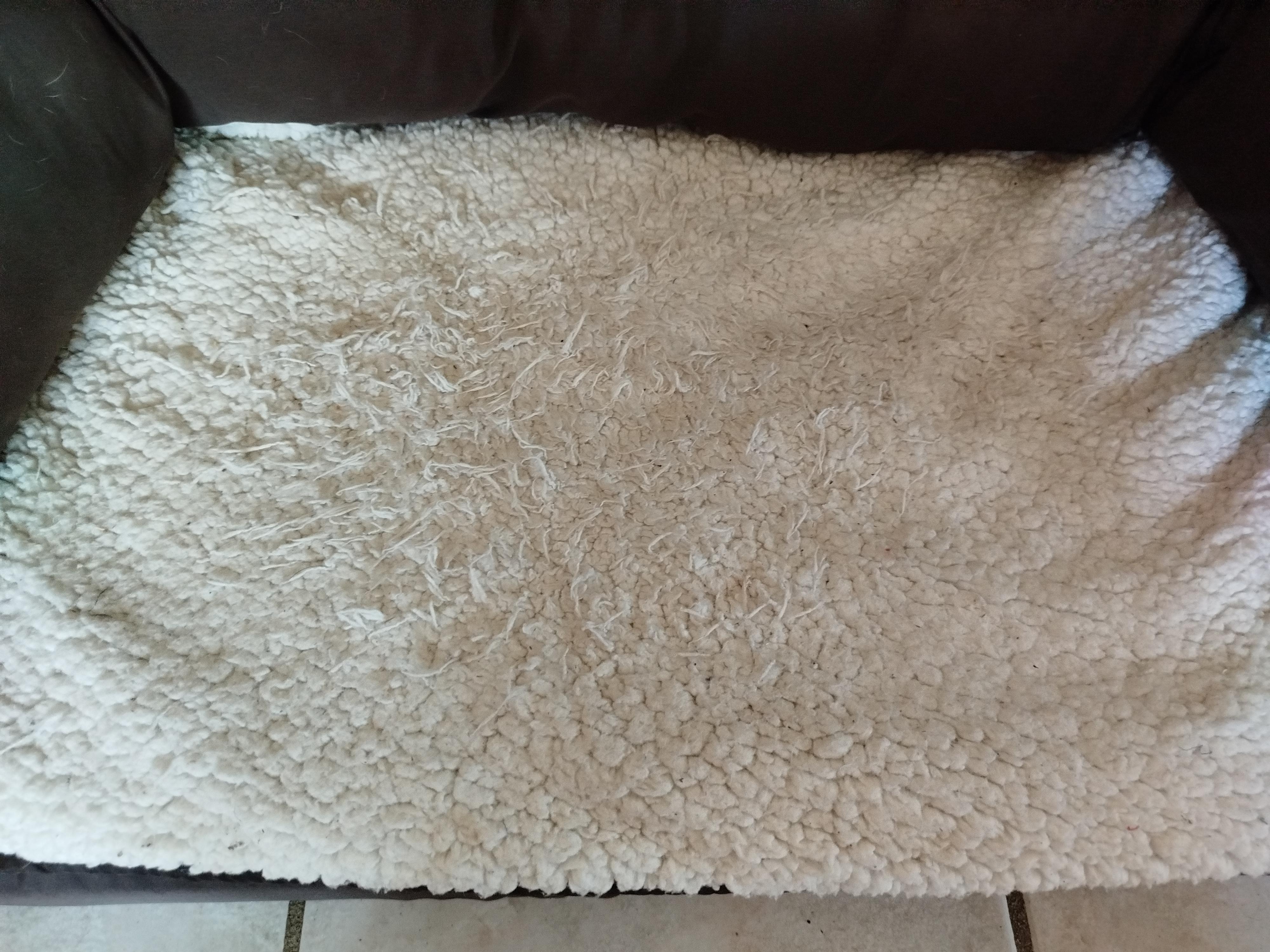 troc de troc coussin canapé pour chien image 2