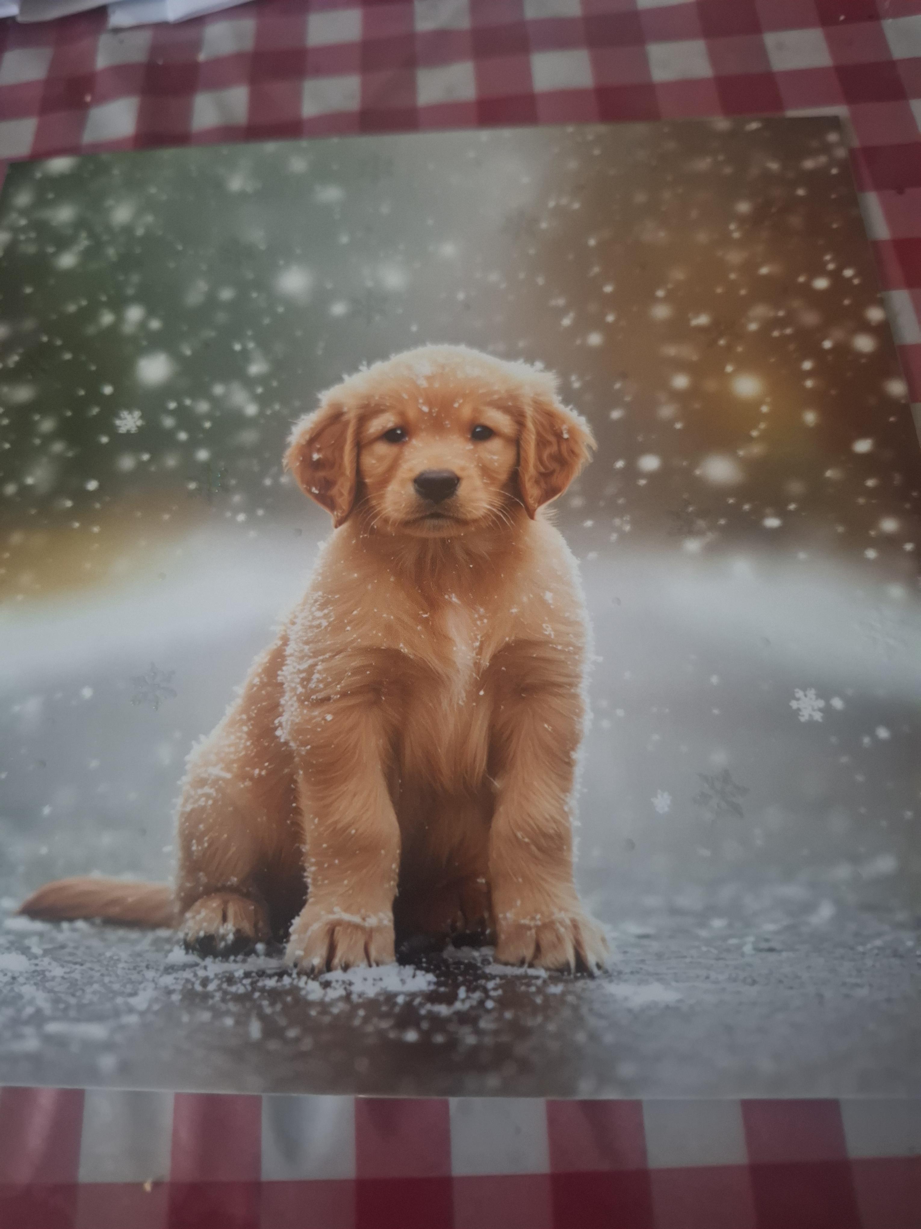 troc de troc carte image 0