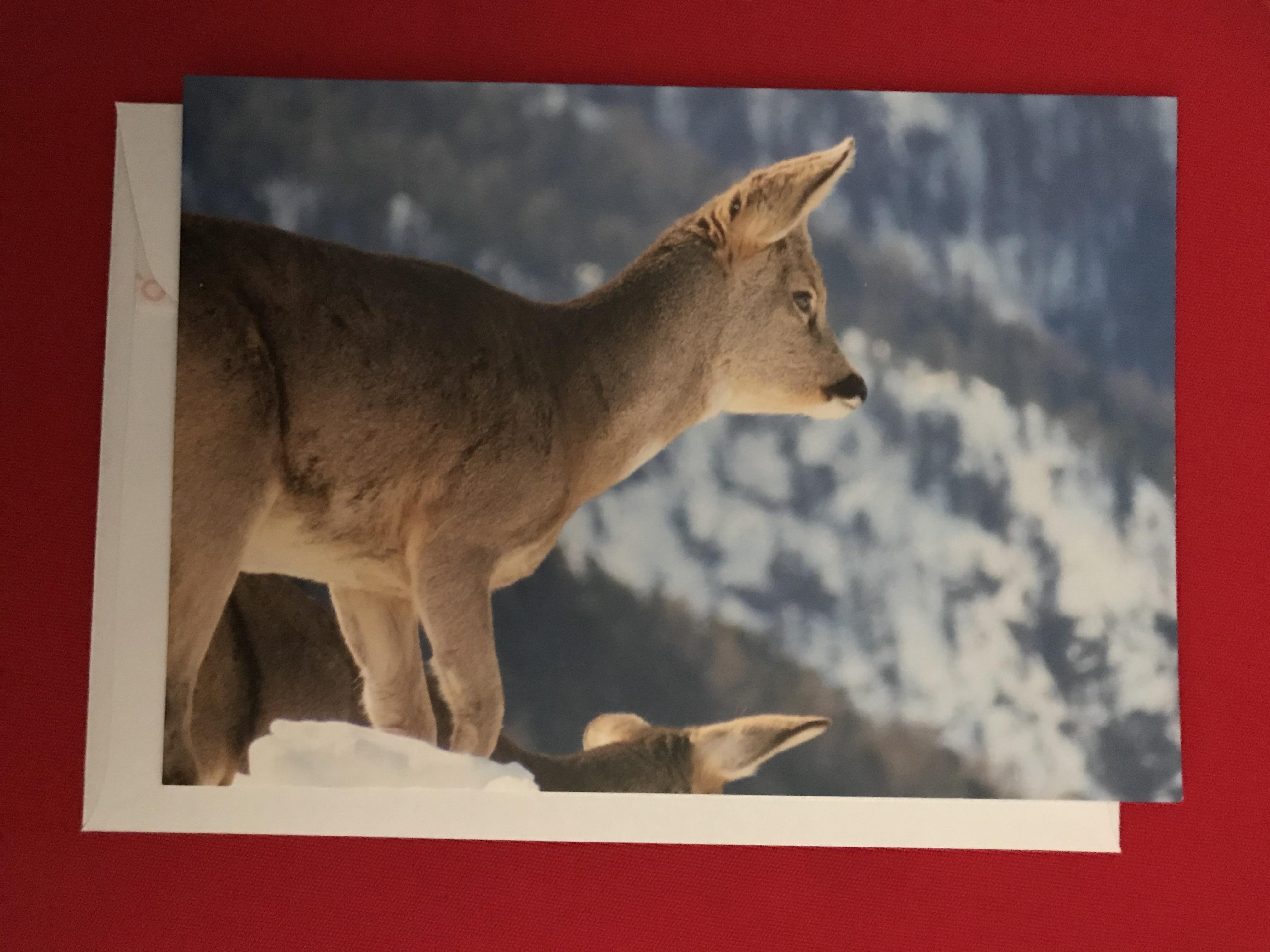 troc de troc carte des alpes suisse  & son enveloppe blanche image 0