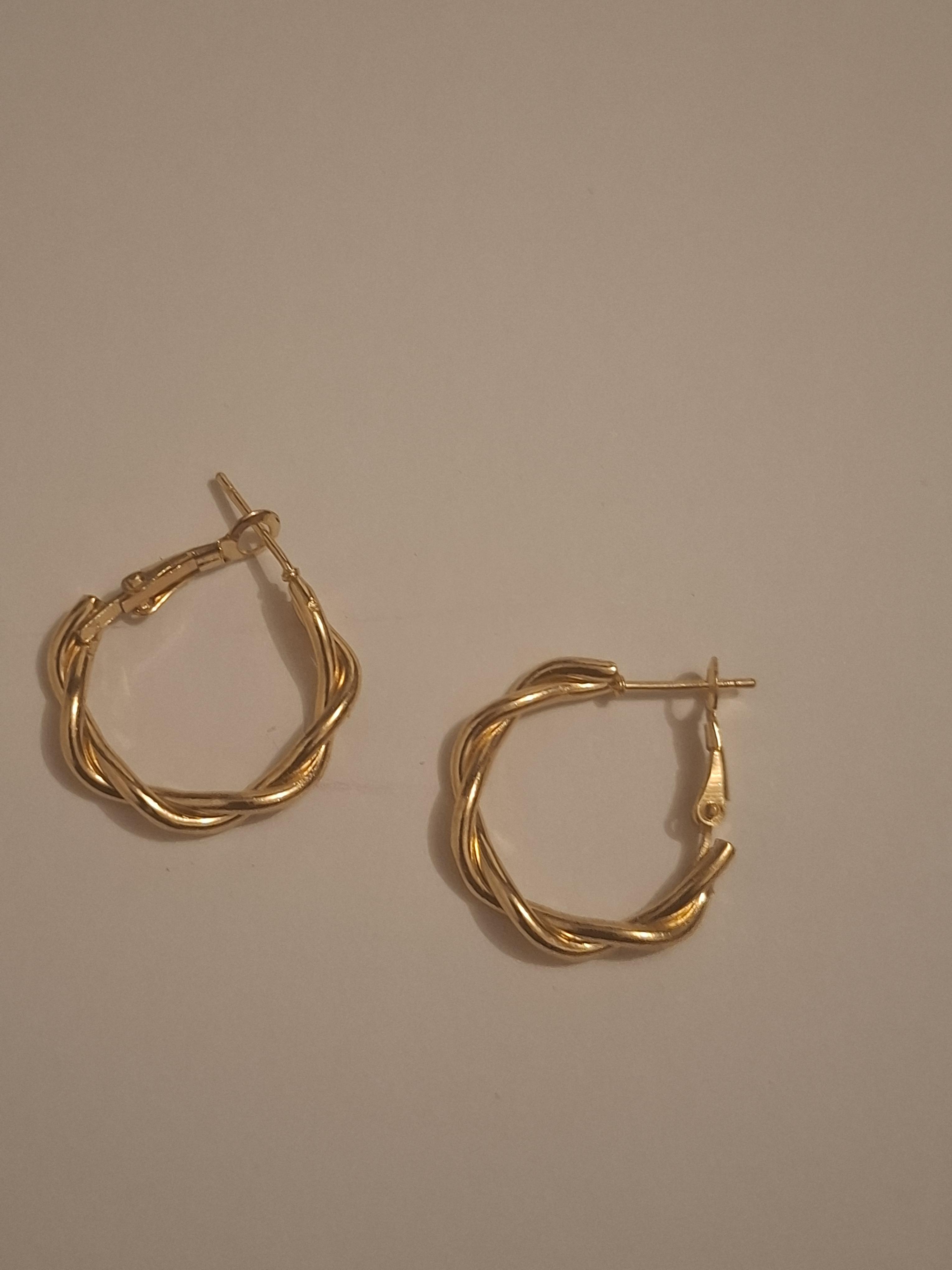 troc de troc boucles d'oreilles image 0