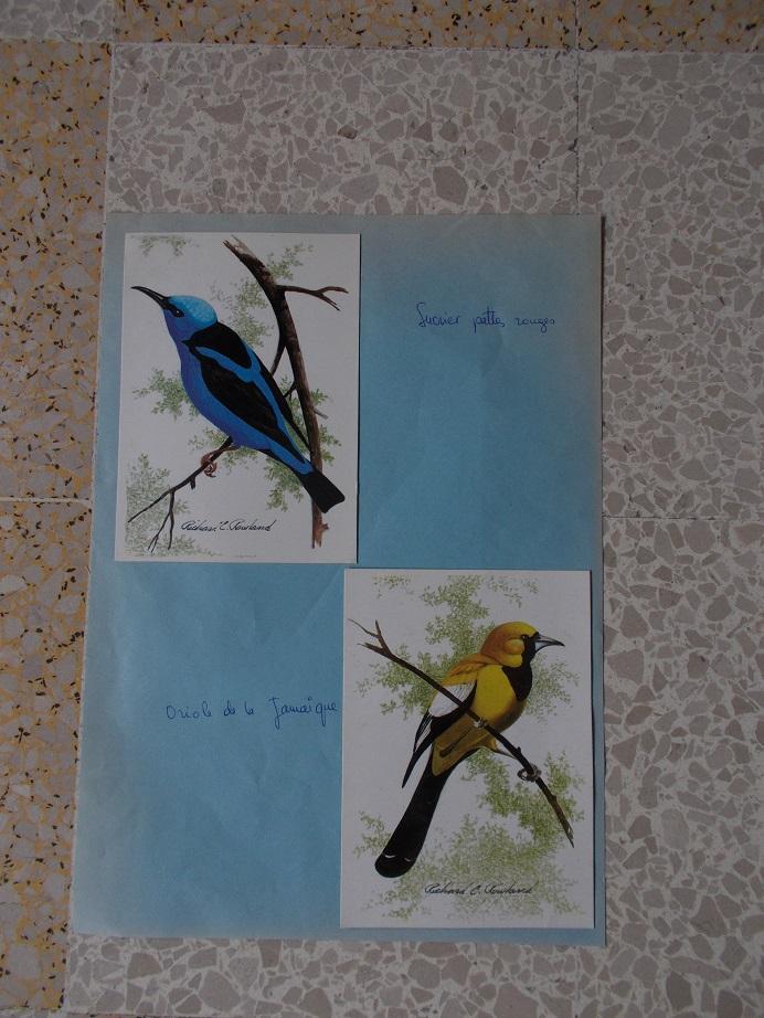 troc de troc reproductions et cartes postales image 2
