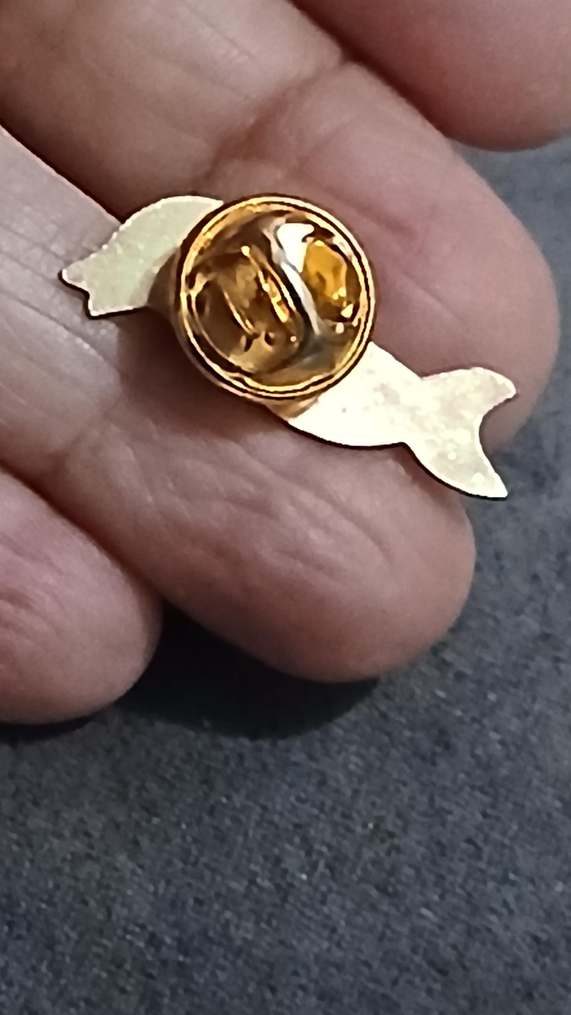 troc de troc un pins image 1