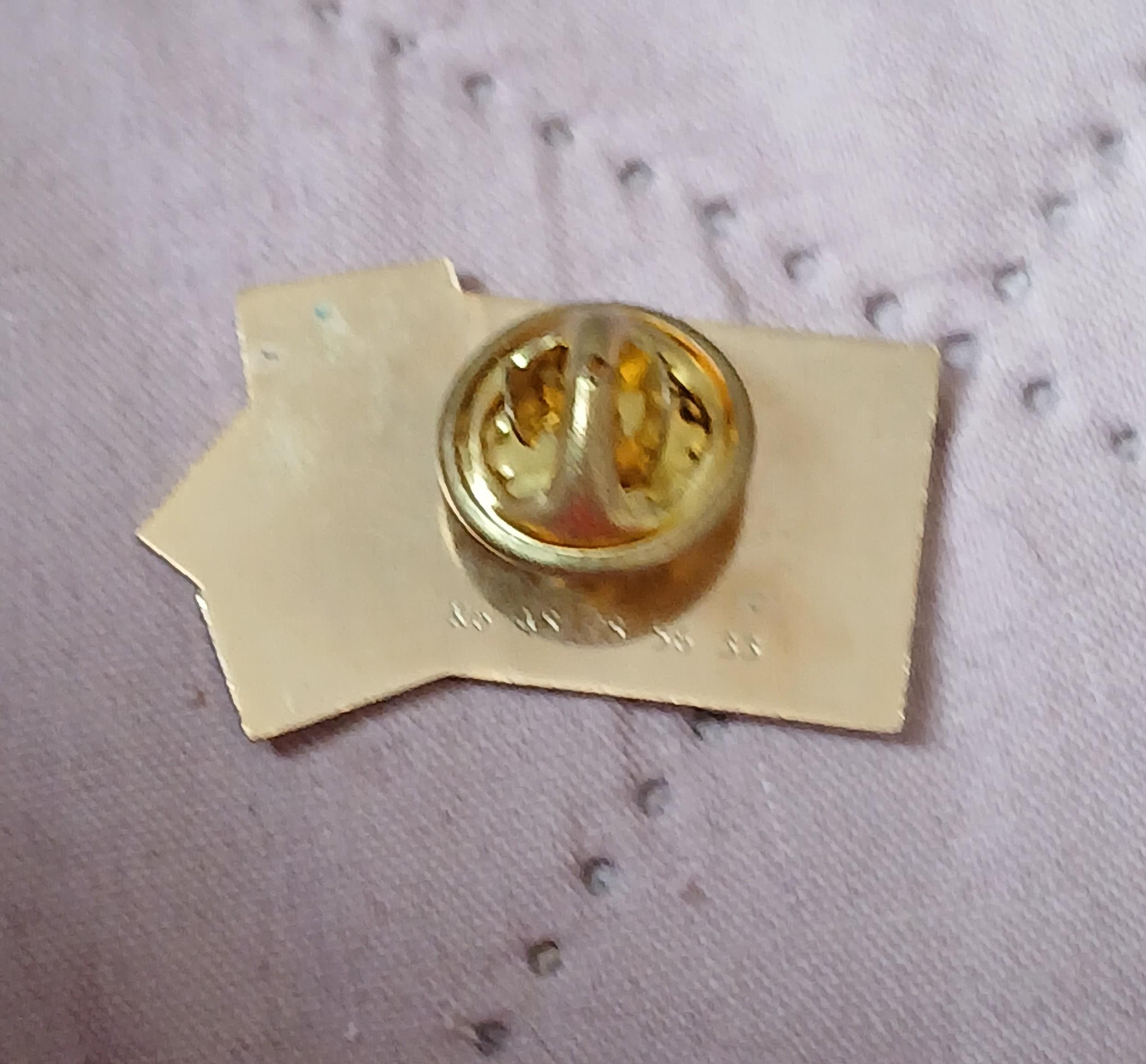 troc de troc pins image 2