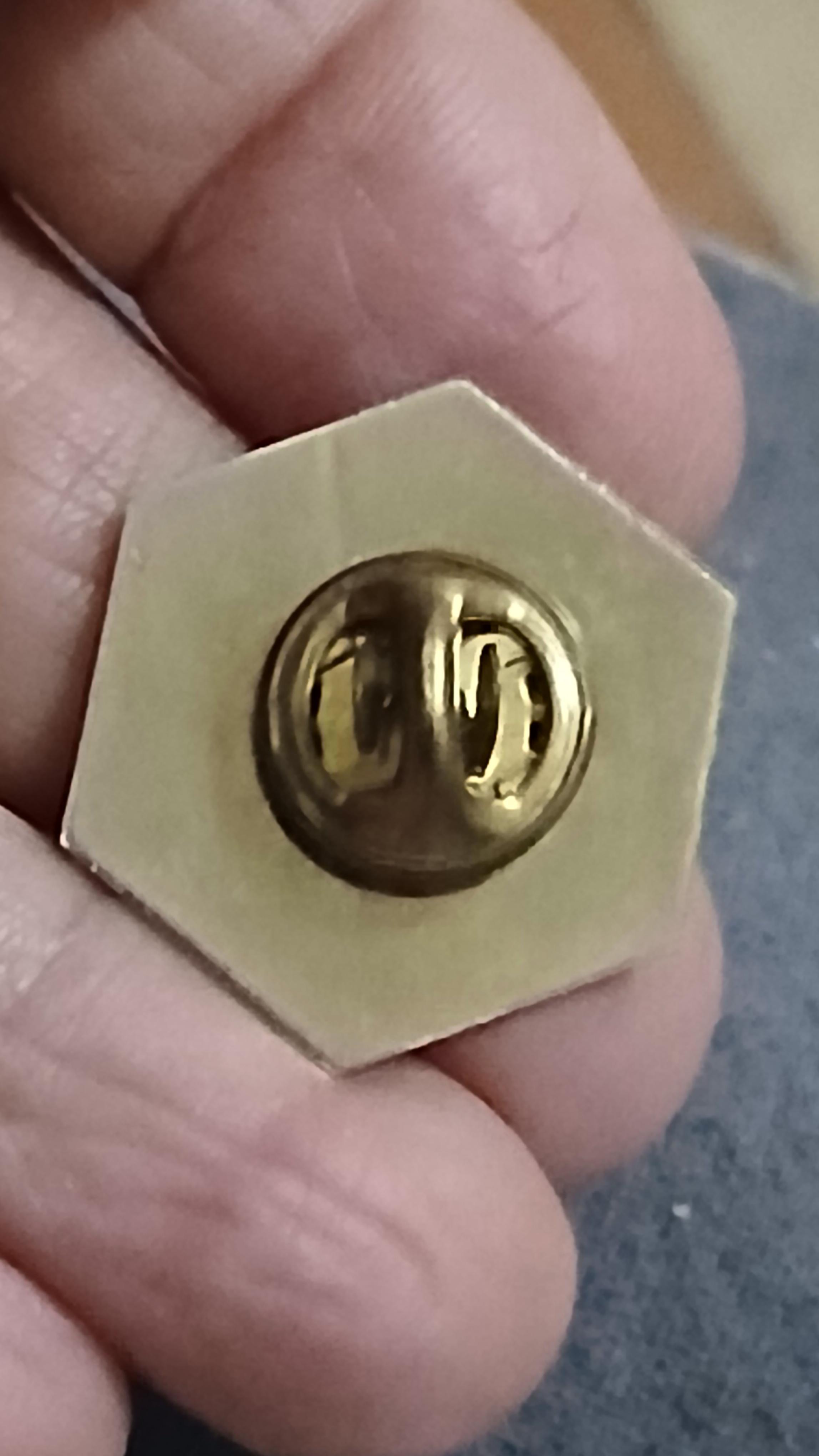 troc de troc un pins image 1