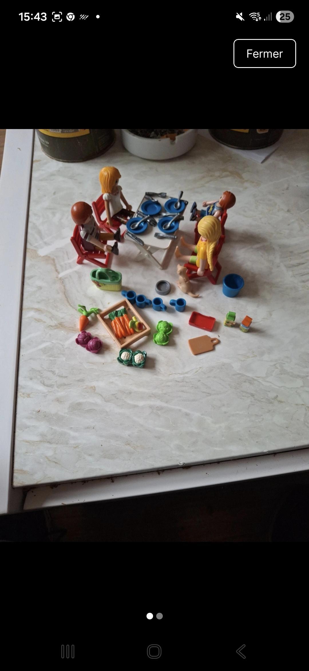 troc de troc lot playmobil image 0