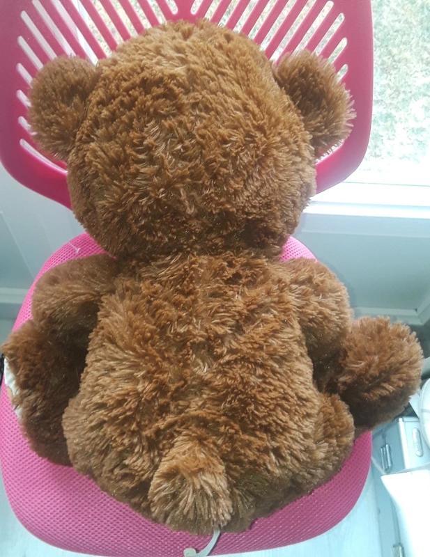 troc de troc nounours image 1