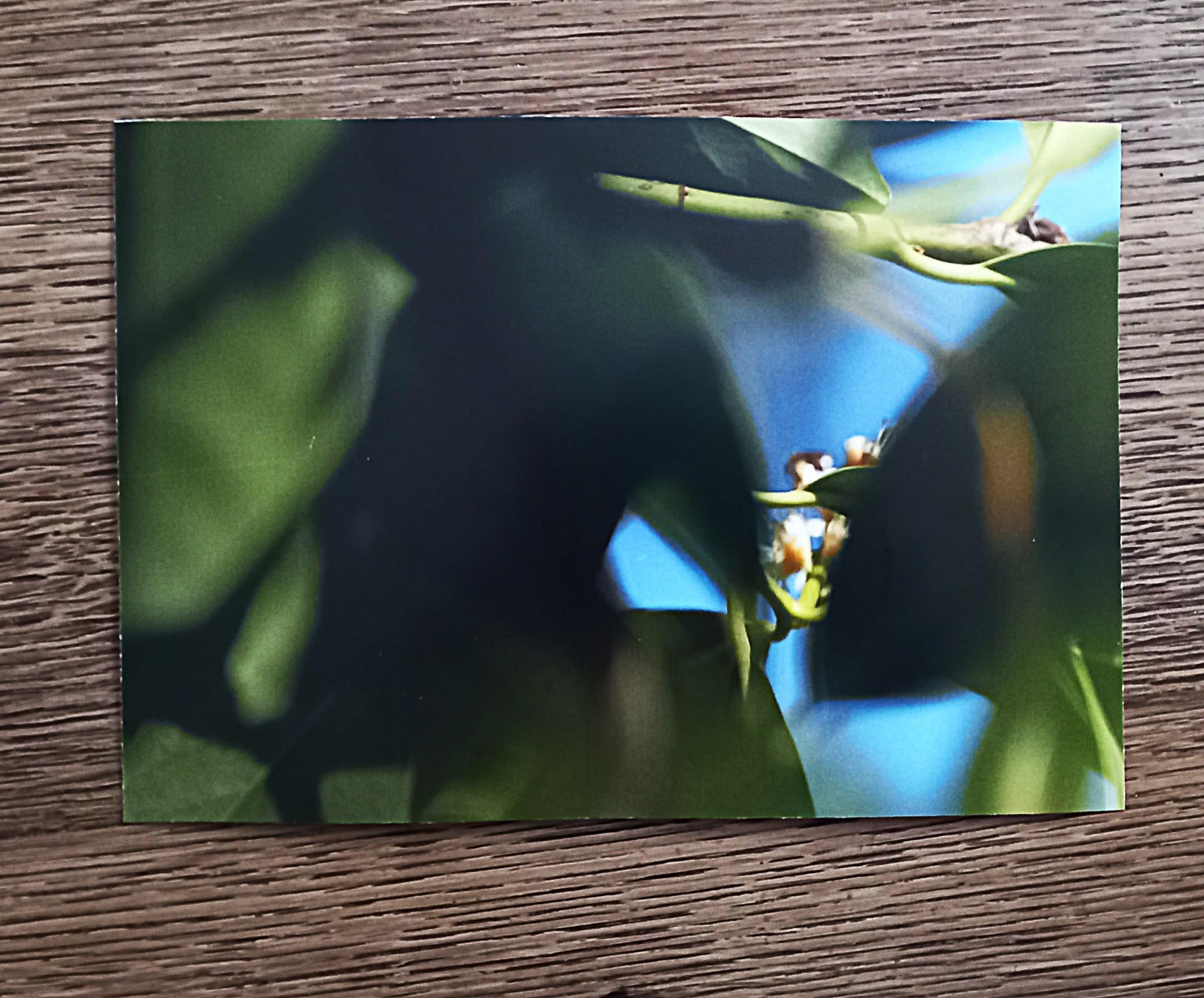 troc de troc carte "flow". image 1