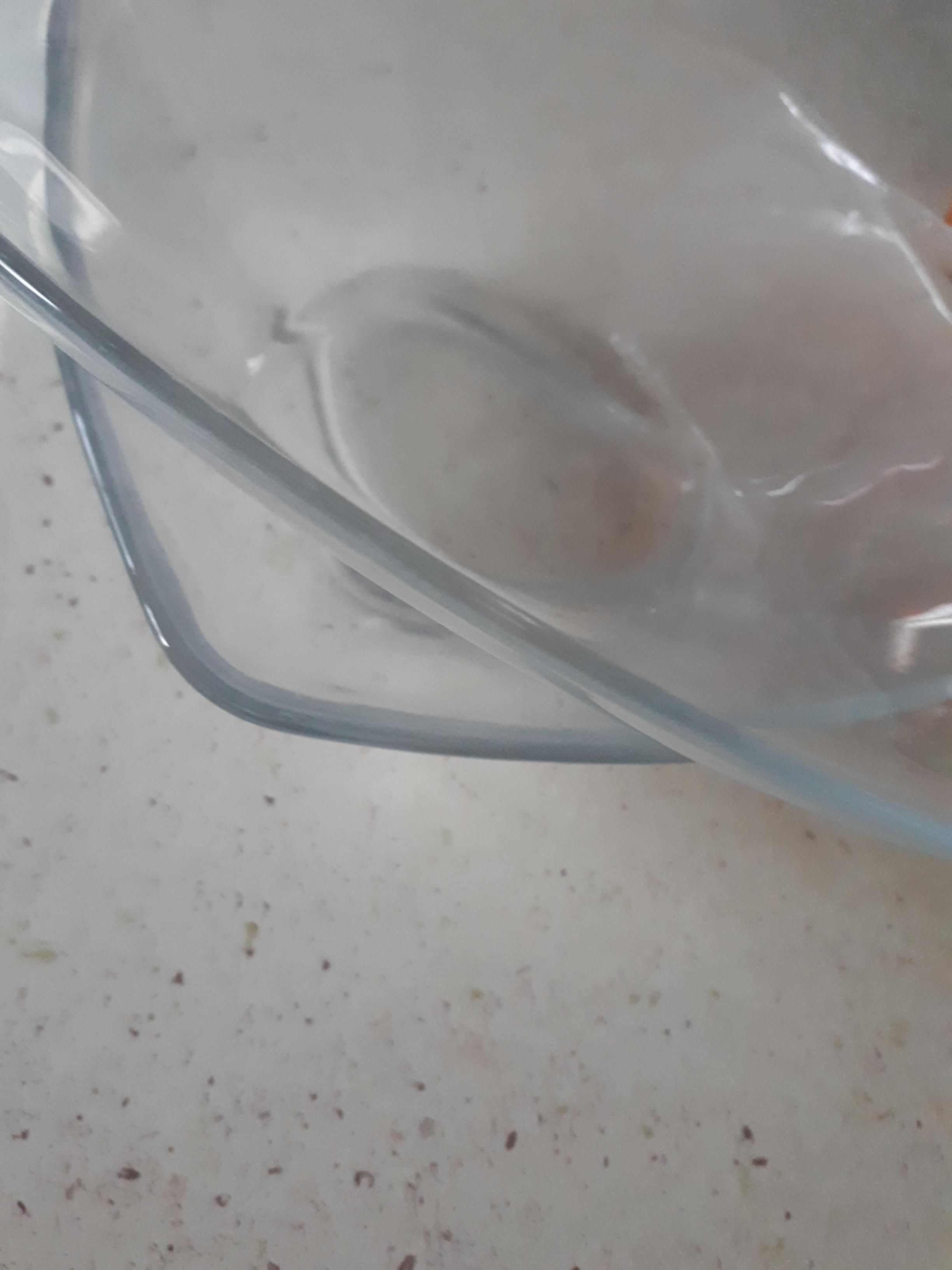 troc de troc assiettes à soupe image 1