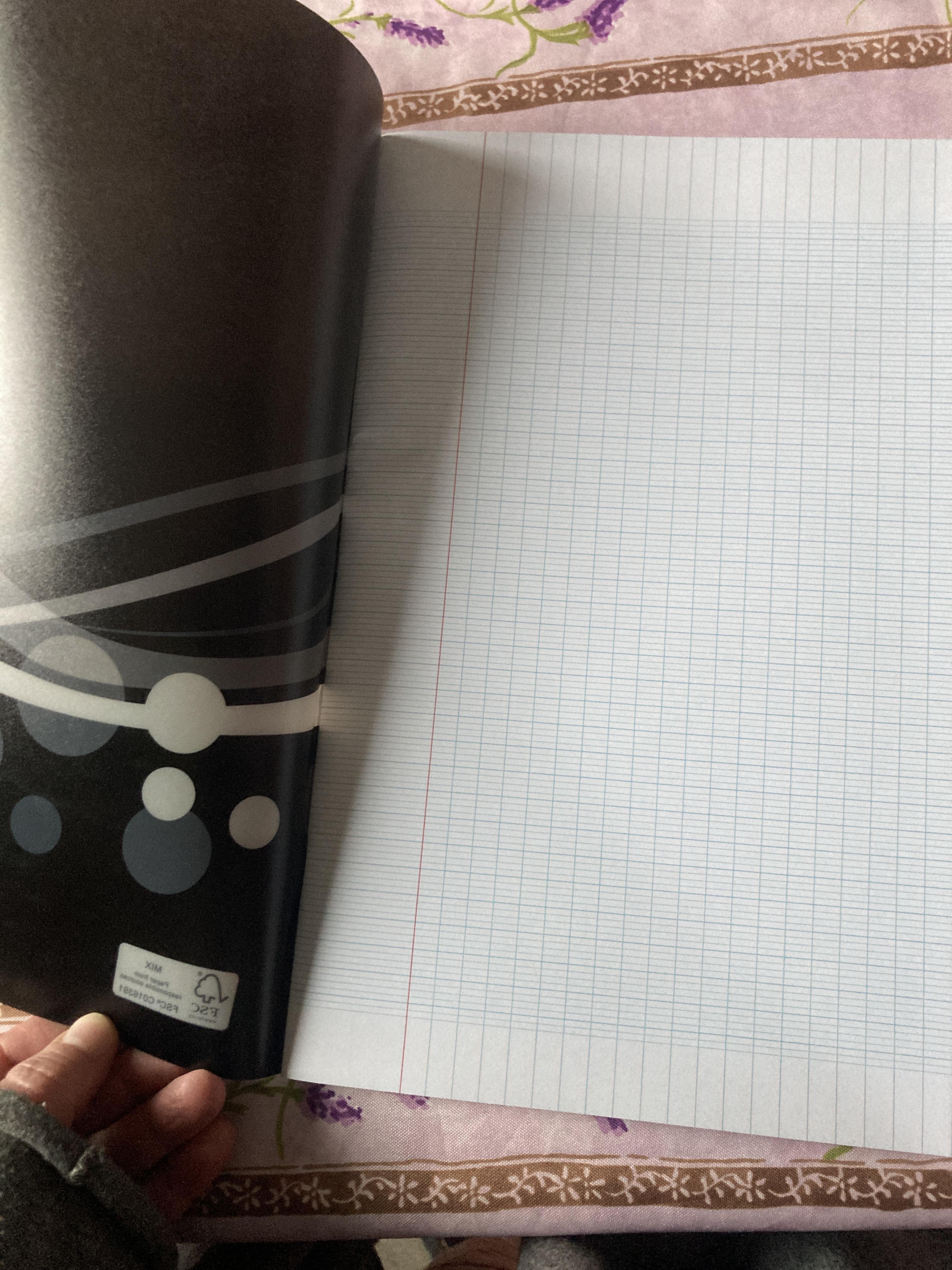 troc de troc cahier neuf 24 x 32 cm grands carreaux image 2