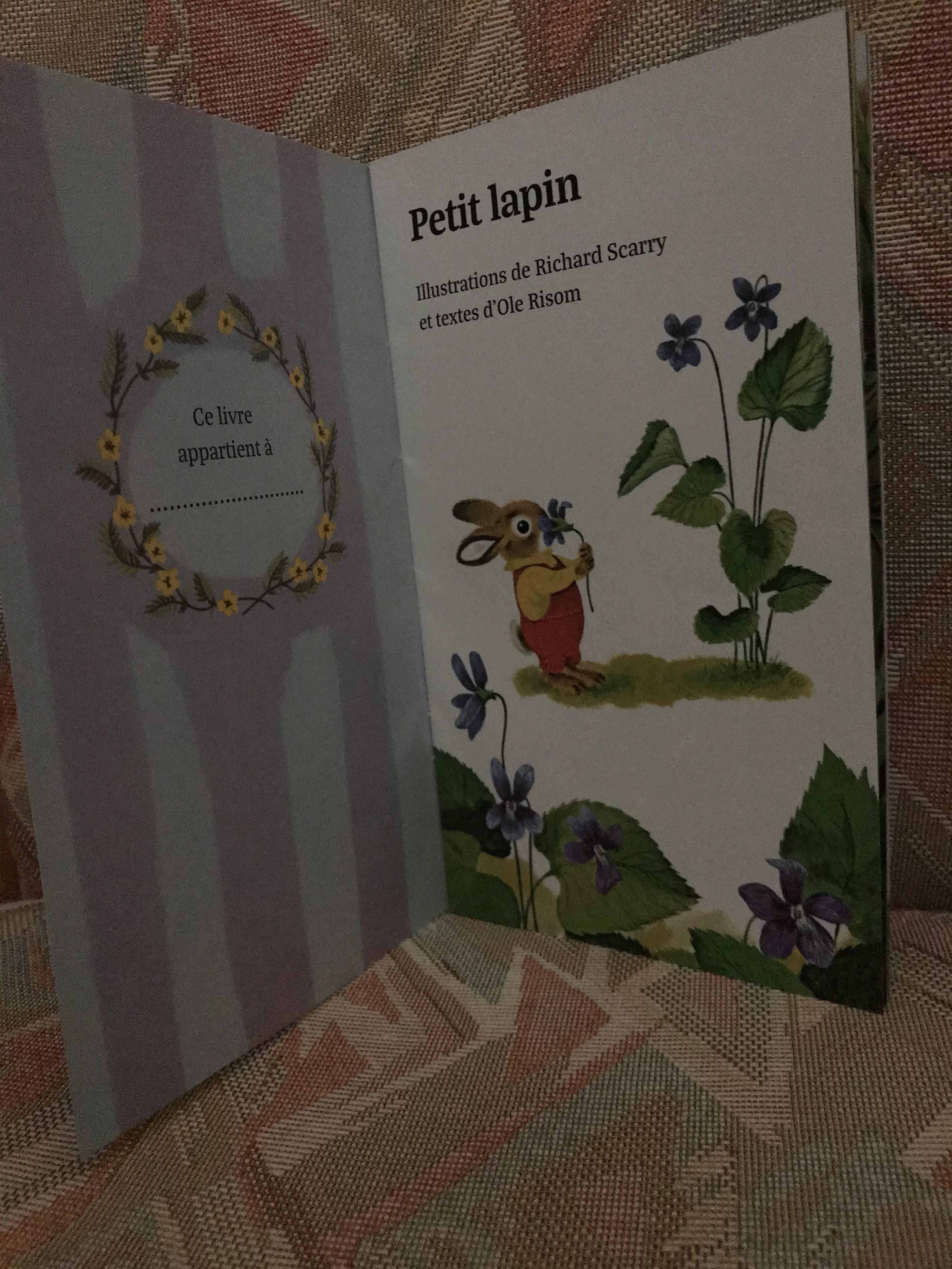 troc de troc réservé /// livre enfant " petit lapin" image 1