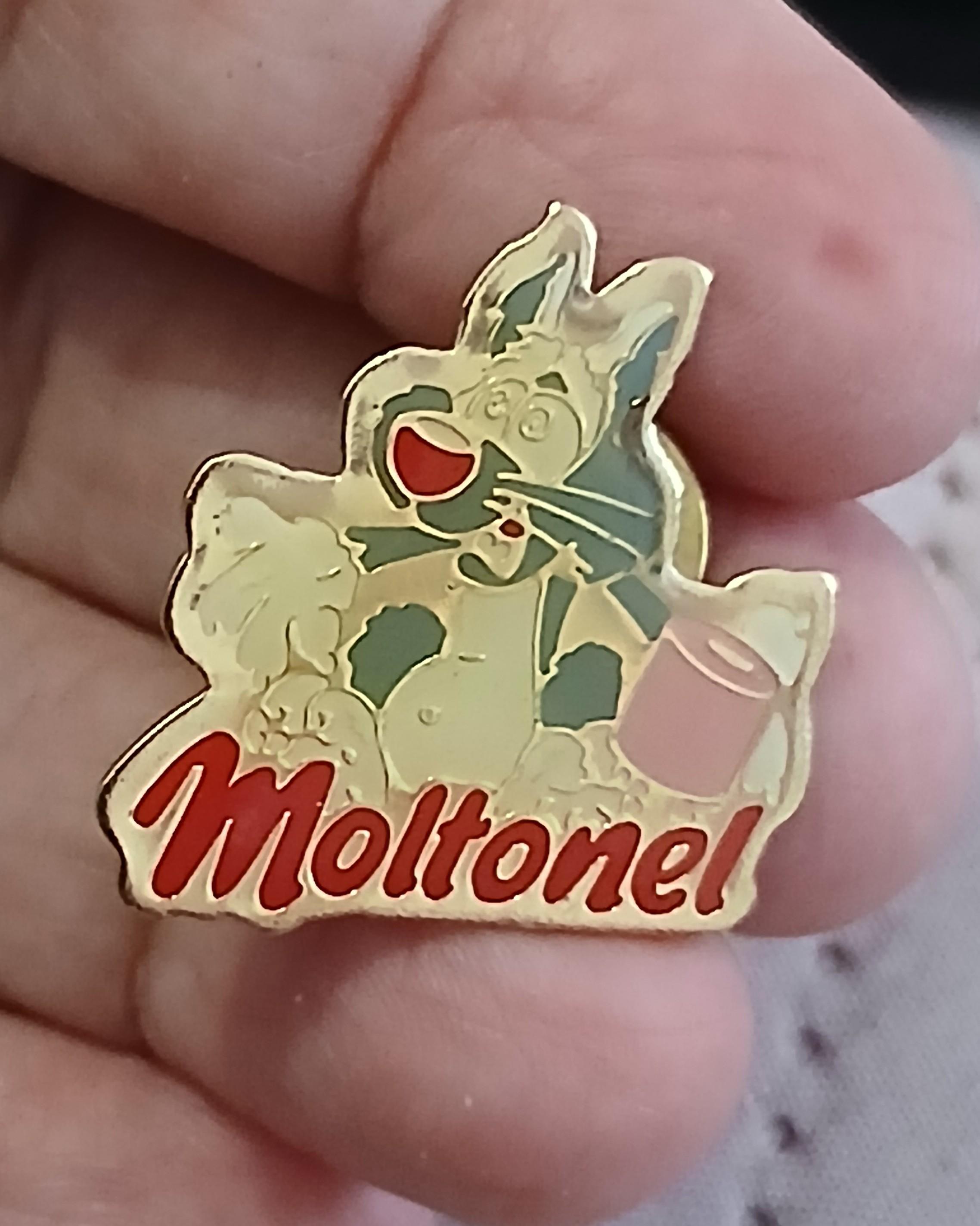 troc de troc pins " moltonel " image 0